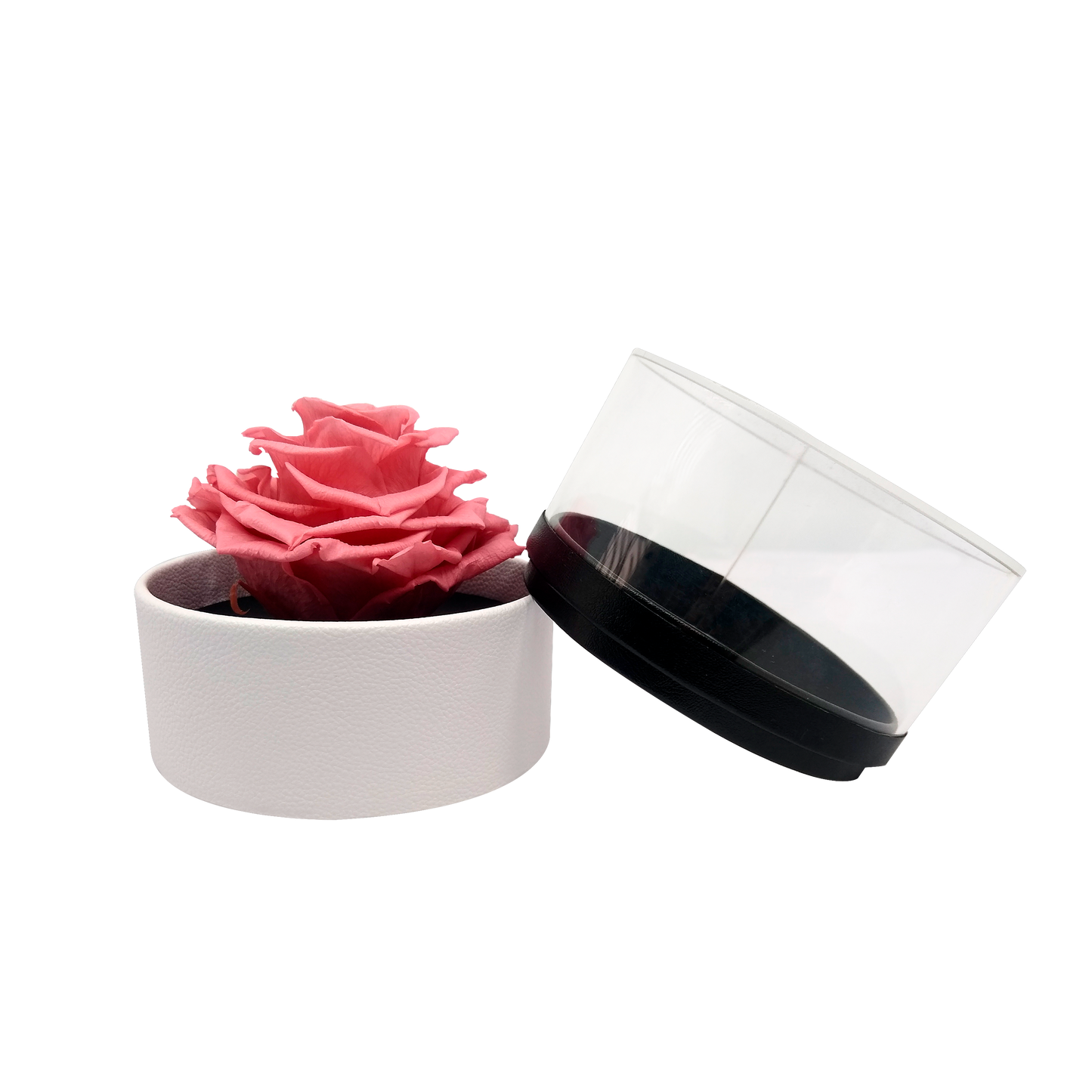 LUXURY 1 PRESERVED ROSE ARRANGEMENT - ROUND ACRYLIC AND PU BOX - BMade