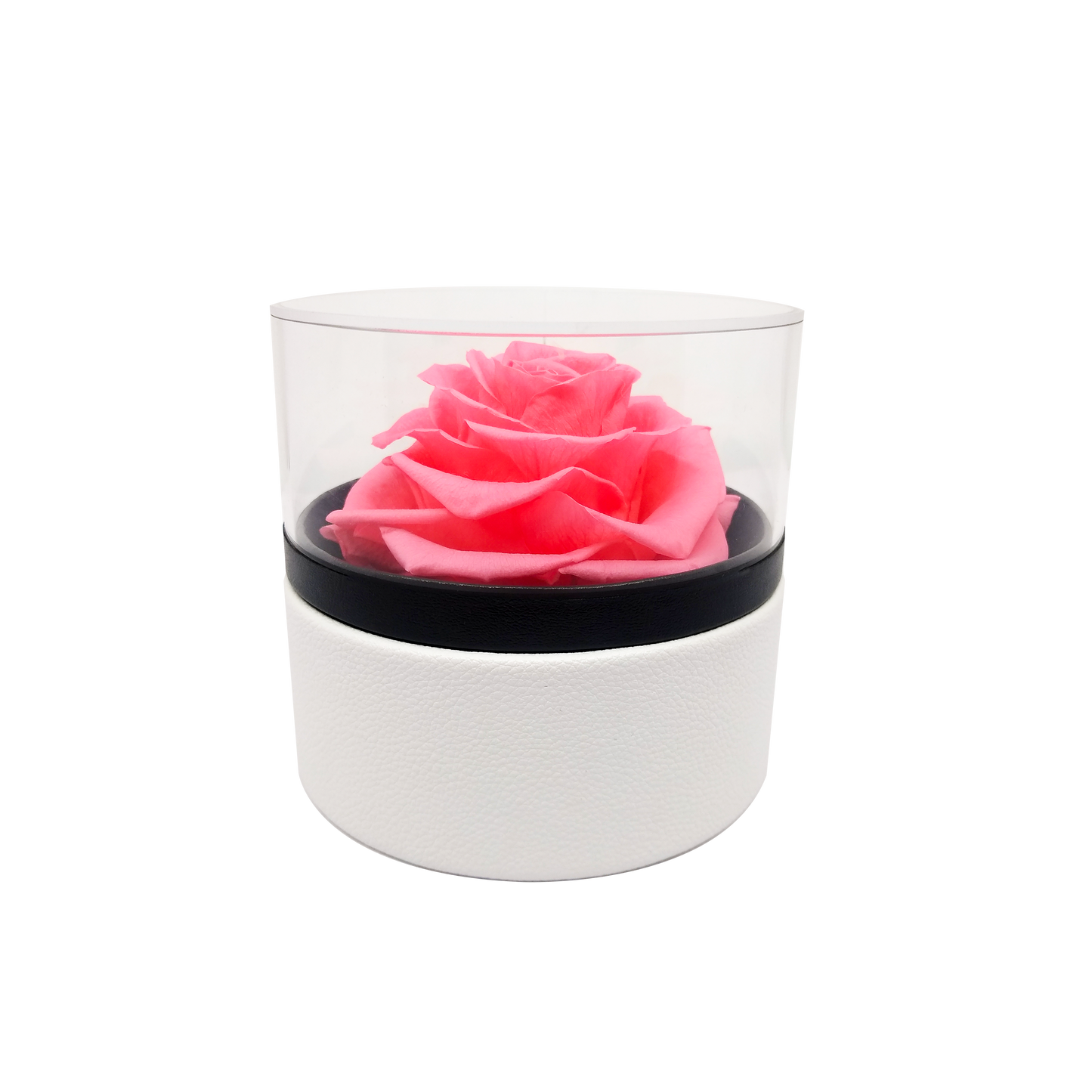 LUXURY 1 PRESERVED ROSE ARRANGEMENT - ROUND ACRYLIC AND PU BOX - BMade