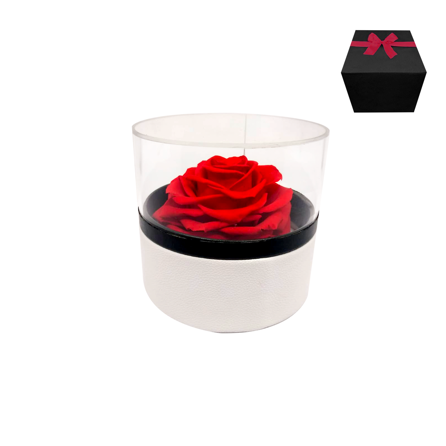 LUXURY 1 PRESERVED ROSE ARRANGEMENT - ROUND ACRYLIC AND PU BOX - BMade