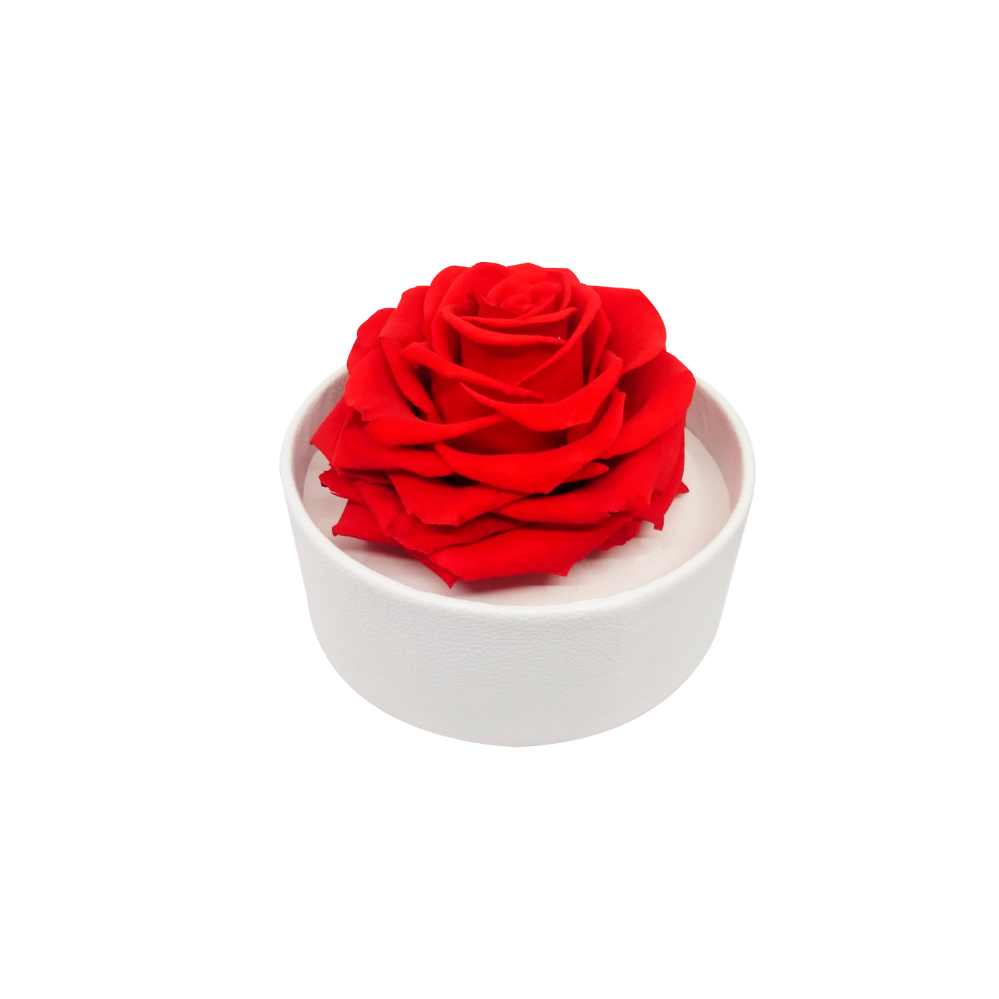 LUXURY 1 PRESERVED ROSE ARRANGEMENT - ROUND ACRYLIC AND PU BOX - BMade