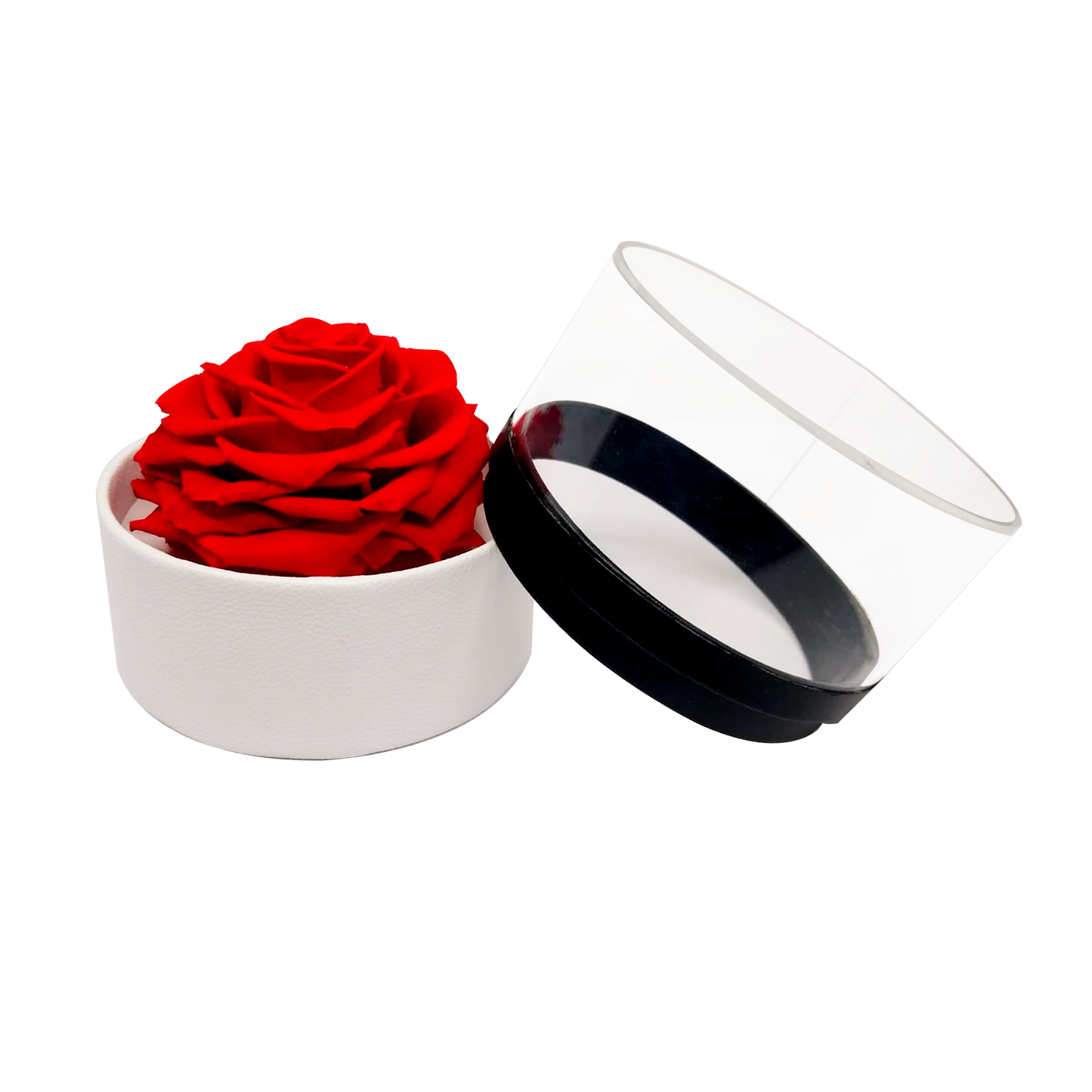 LUXURY 1 PRESERVED ROSE ARRANGEMENT - ROUND ACRYLIC AND PU BOX - BMade