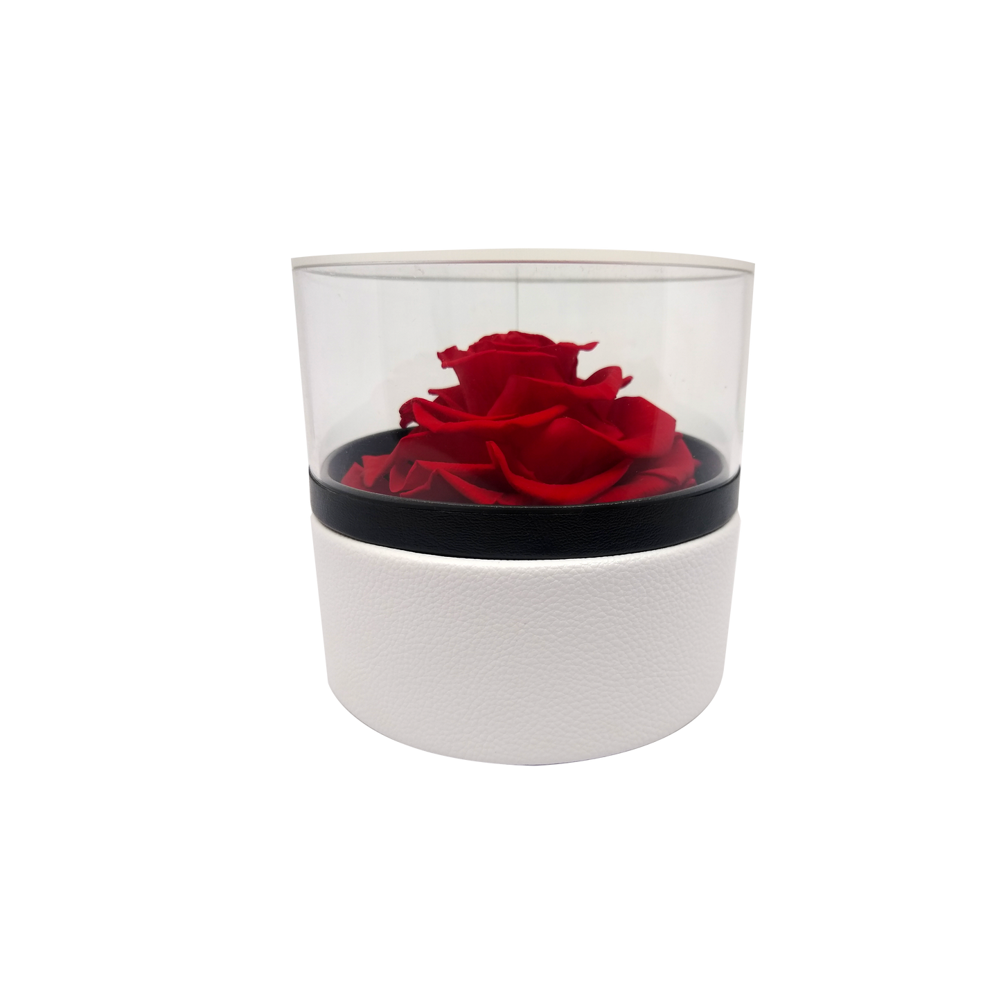 LUXURY 1 PRESERVED ROSE ARRANGEMENT - ROUND ACRYLIC AND PU BOX - BMade