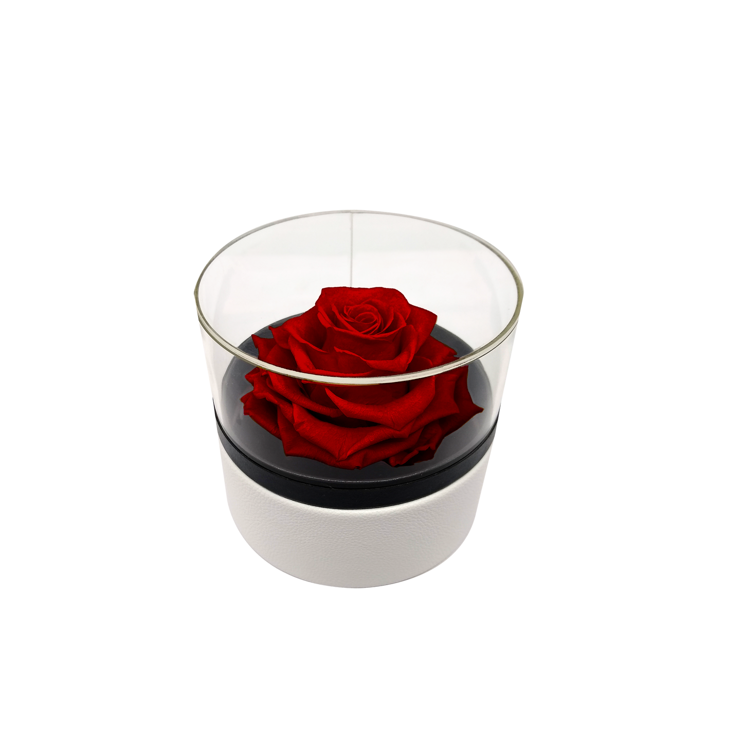 LUXURY 1 PRESERVED ROSE ARRANGEMENT - ROUND ACRYLIC AND PU BOX - BMade