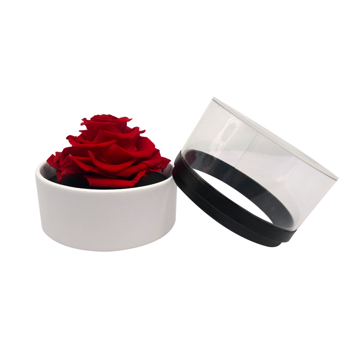 LUXURY 1 PRESERVED ROSE ARRANGEMENT - ROUND ACRYLIC AND PU BOX - BMade