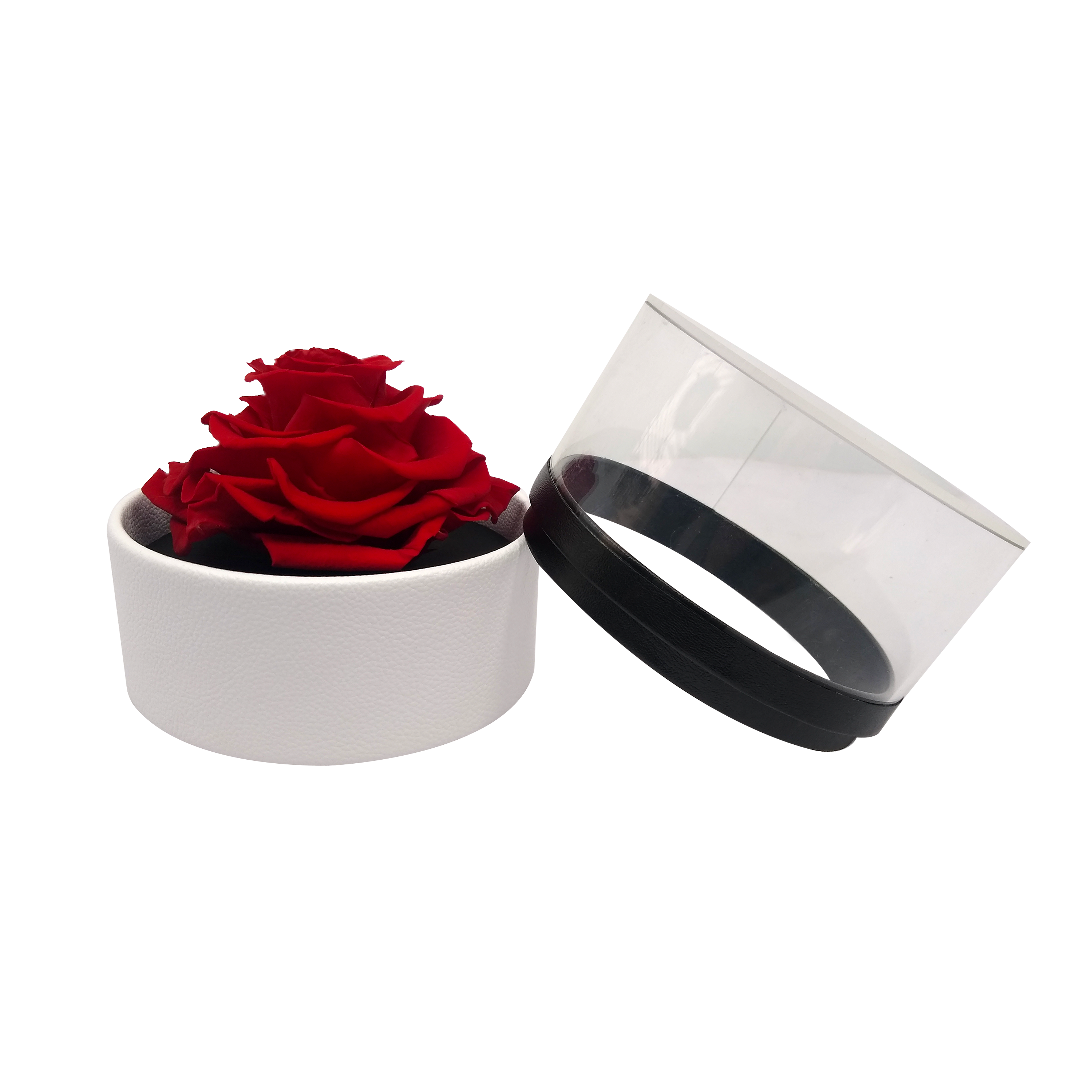 LUXURY 1 PRESERVED ROSE ARRANGEMENT - ROUND ACRYLIC AND PU BOX - BMade