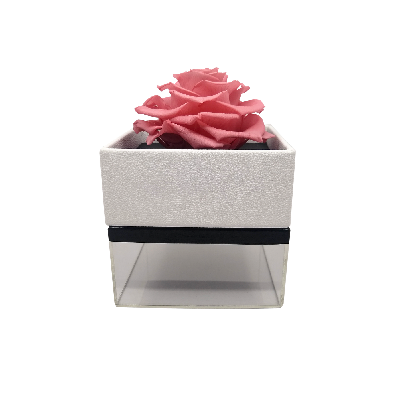 LUXURY 1 PRESERVED ROSE ARRANGEMENT - SQUARE ACRYLIC AND PU BOX - BMade