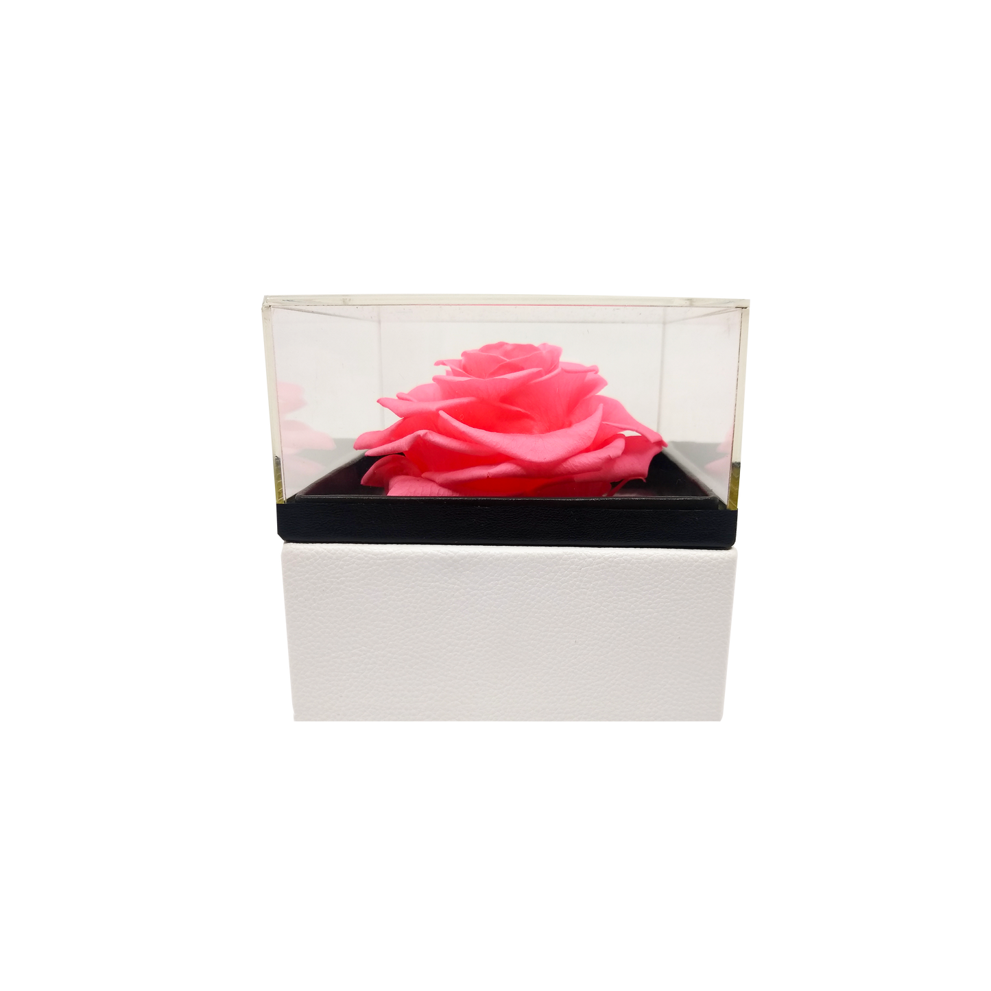 Luxury 1 Preserved Rose Arrangement - Square Acrylic And Pu Box - Stock - BMade