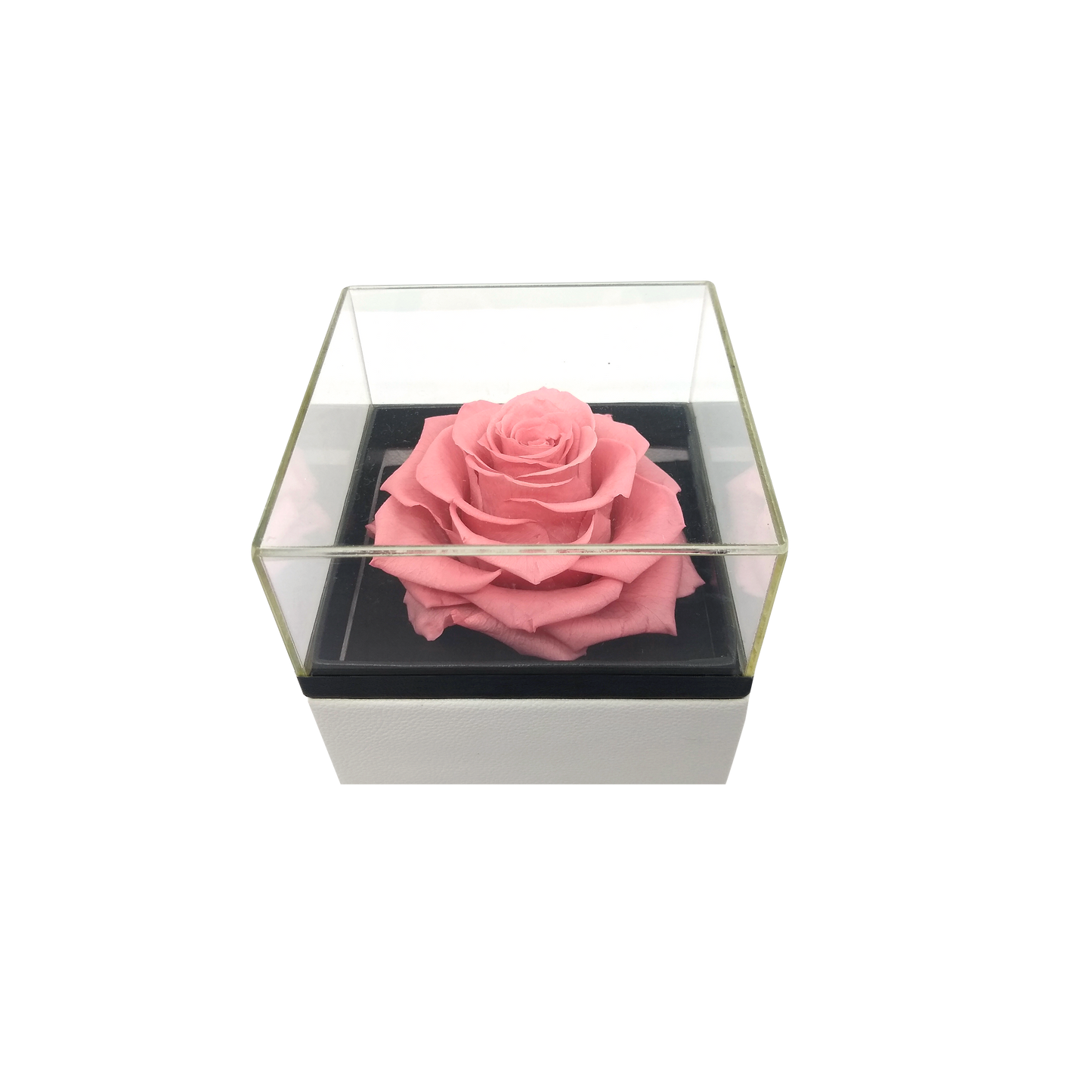 Luxury 1 Preserved Rose Arrangement - Square Acrylic And Pu Box - Stock - BMade