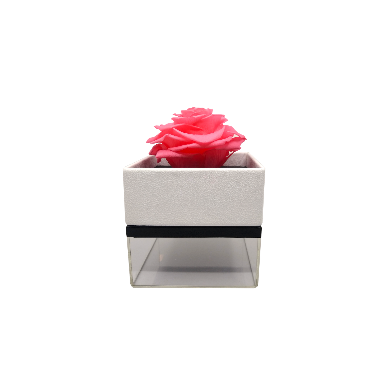 Luxury 1 Preserved Rose Arrangement - Square Acrylic And Pu Box - Stock - BMade