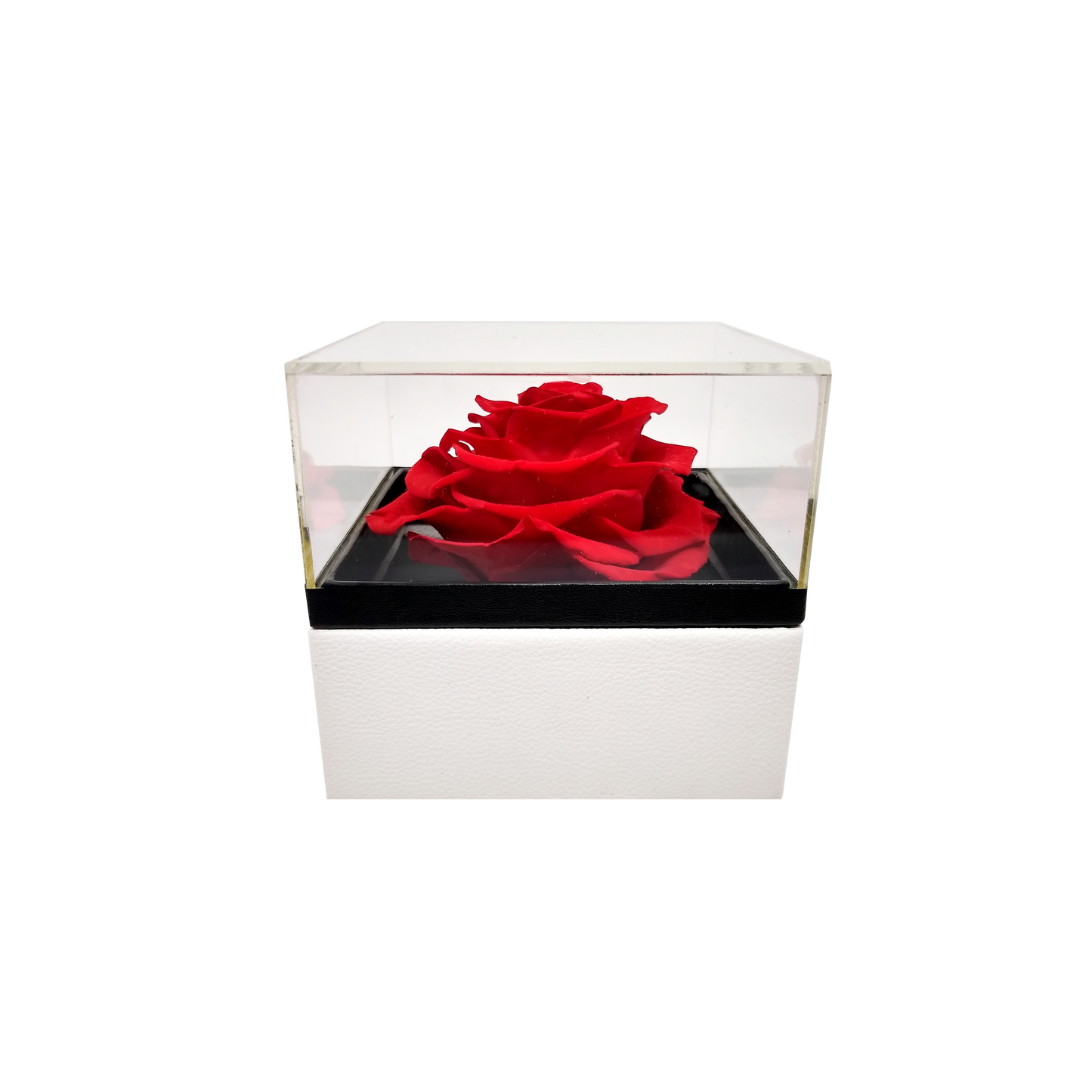 Luxury 1 Preserved Rose Arrangement - Square Acrylic And Pu Box - Stock - BMade