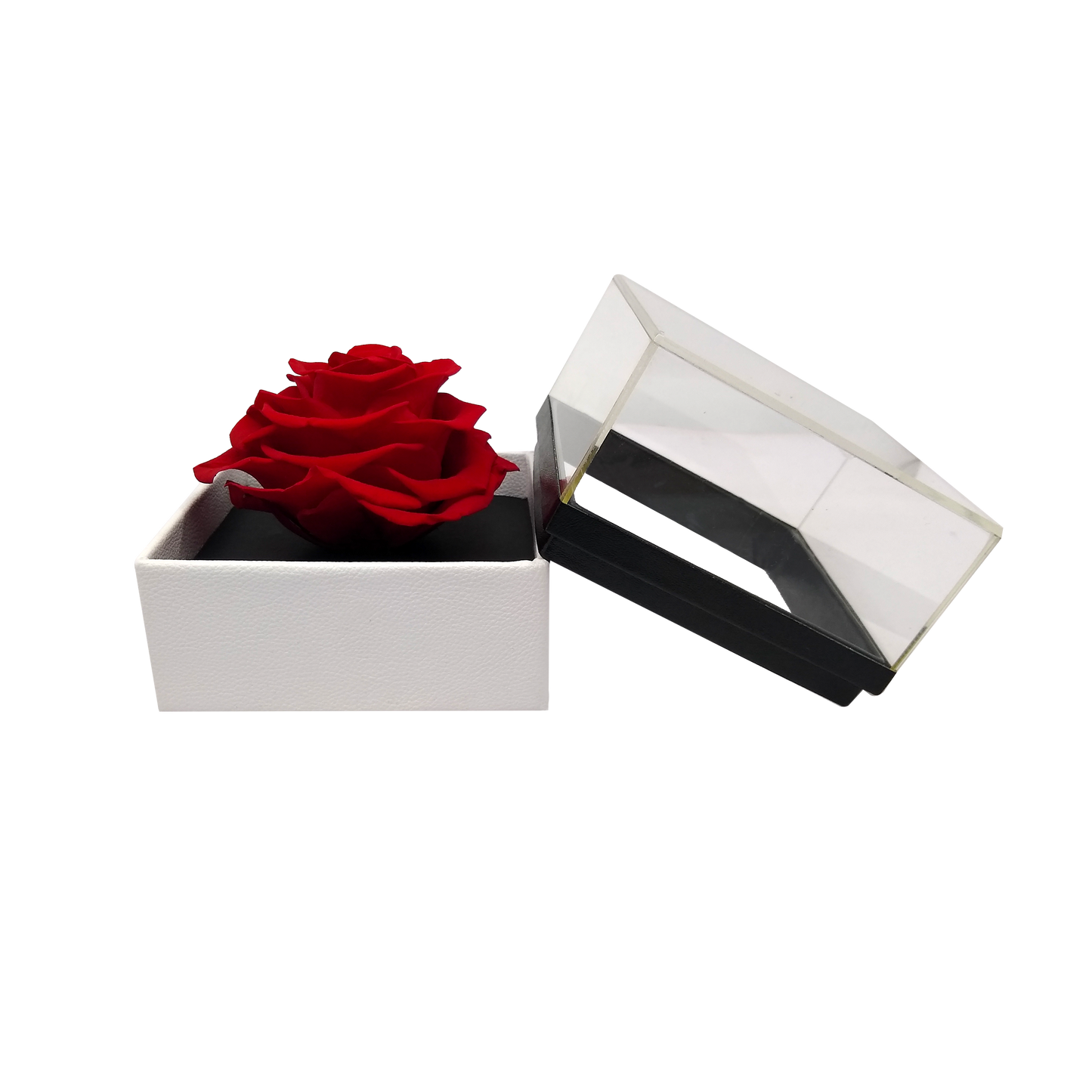 Luxury 1 Preserved Rose Arrangement - Square Acrylic And Pu Box - Stock - BMade