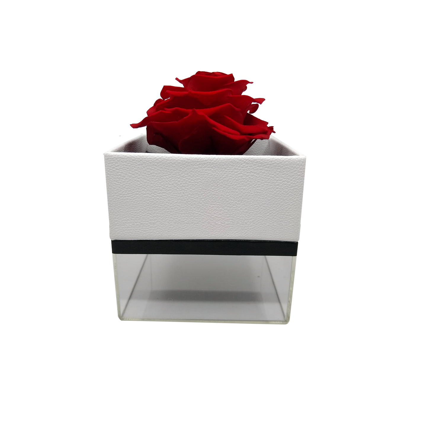 Luxury 1 Preserved Rose Arrangement - Square Acrylic And Pu Box - Stock - BMade