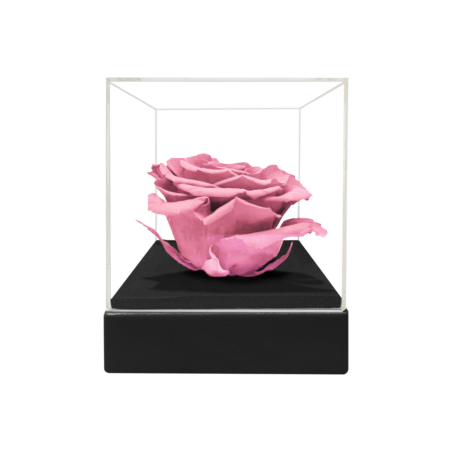 LUXURY 1 PRESERVED ROSE ARRANGEMENT - ACRYLIC TOP AND PU LEATHER BOX - BMade