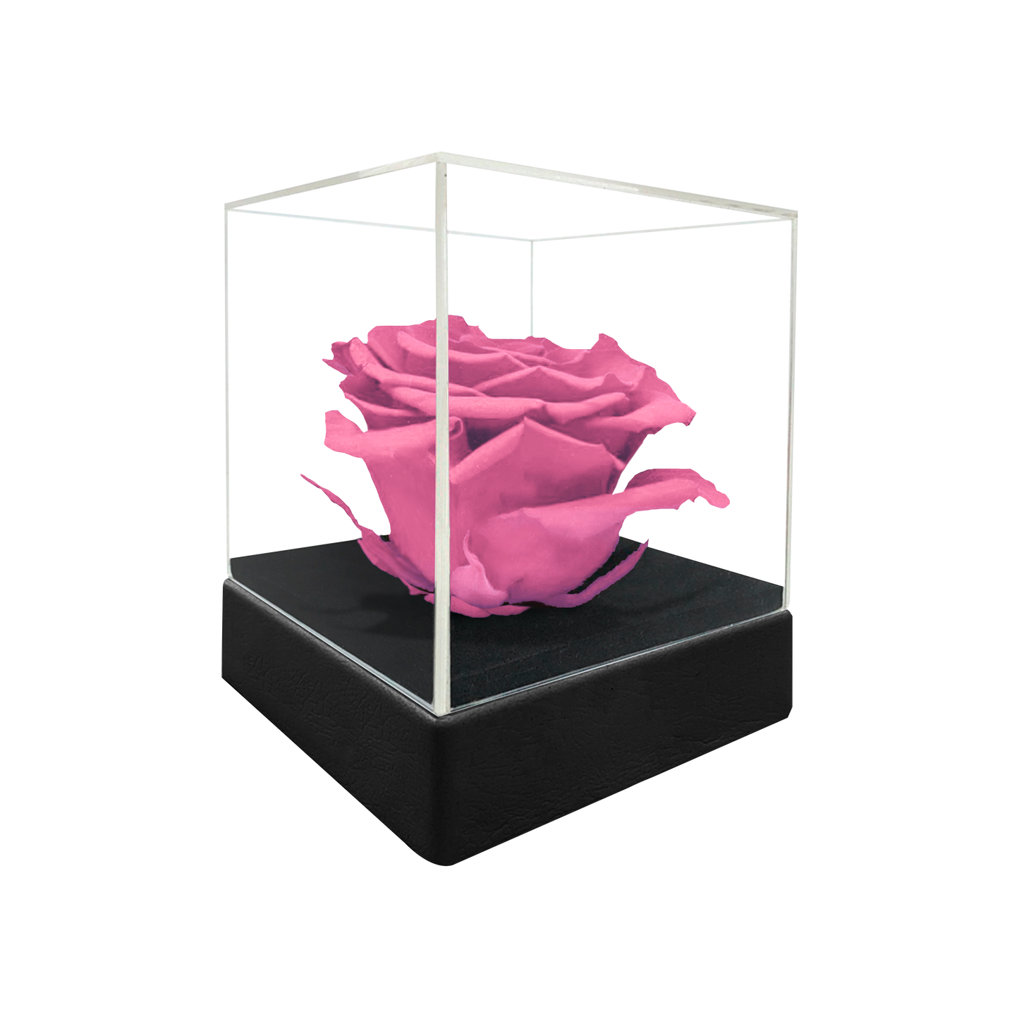 LUXURY 1 PRESERVED ROSE ARRANGEMENT - ACRYLIC TOP AND PU LEATHER BOX - BMade