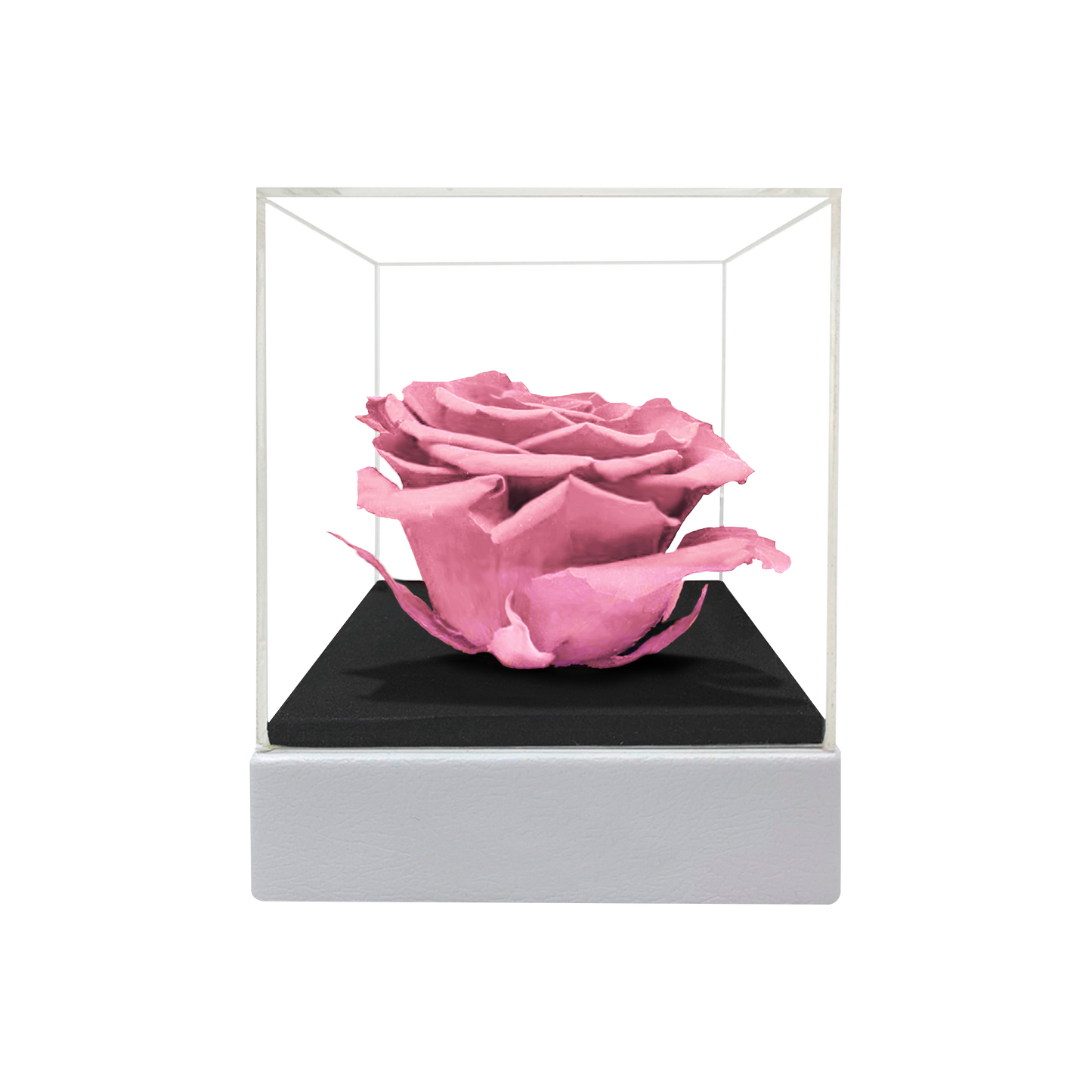LUXURY 1 PRESERVED ROSE ARRANGEMENT - ACRYLIC TOP AND PU LEATHER BOX - BMade