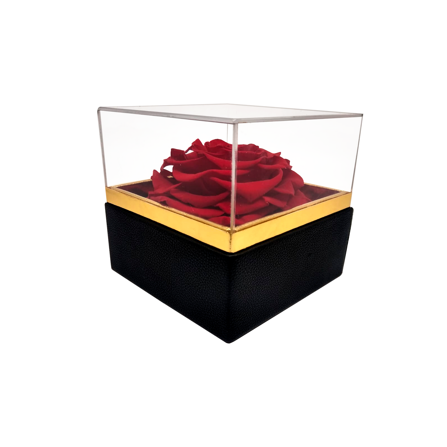 LUXURY 1 PRESERVED ROSE ARRANGEMENT - SQUARE ACRYLIC AND PU BOX - BMade