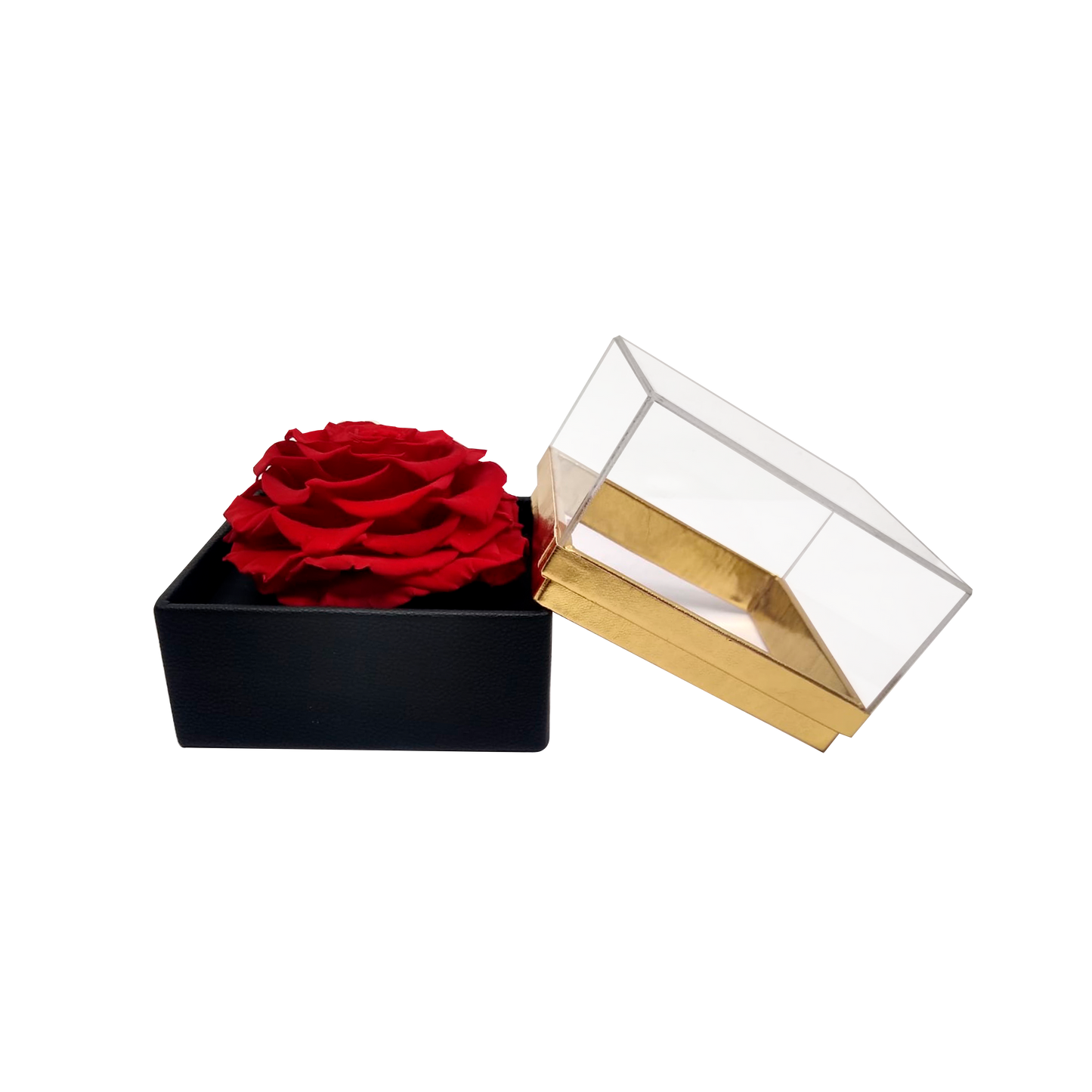 LUXURY 1 PRESERVED ROSE ARRANGEMENT - SQUARE ACRYLIC AND PU BOX - BMade