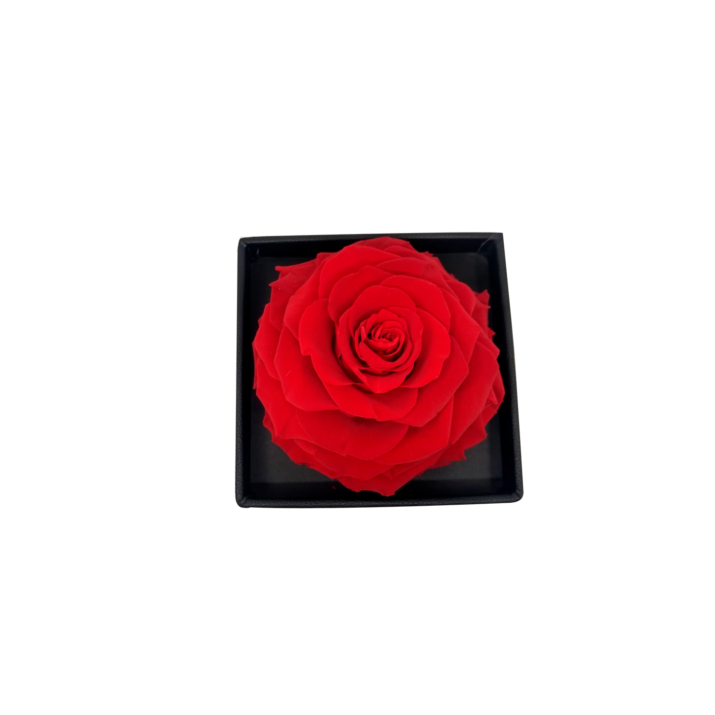LUXURY 1 PRESERVED ROSE ARRANGEMENT - SQUARE ACRYLIC AND PU BOX - BMade