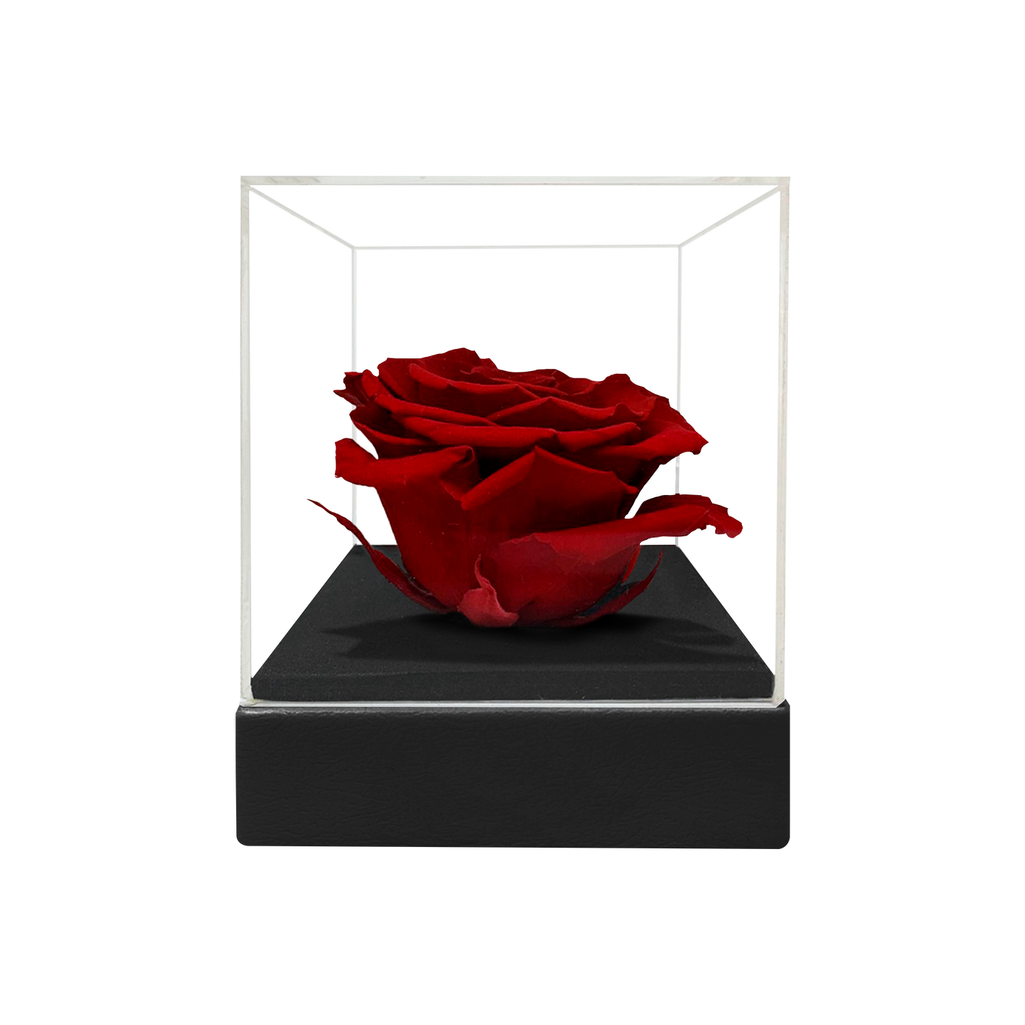 LUXURY 1 PRESERVED ROSE ARRANGEMENT - ACRYLIC TOP AND PU LEATHER BOX - BMade