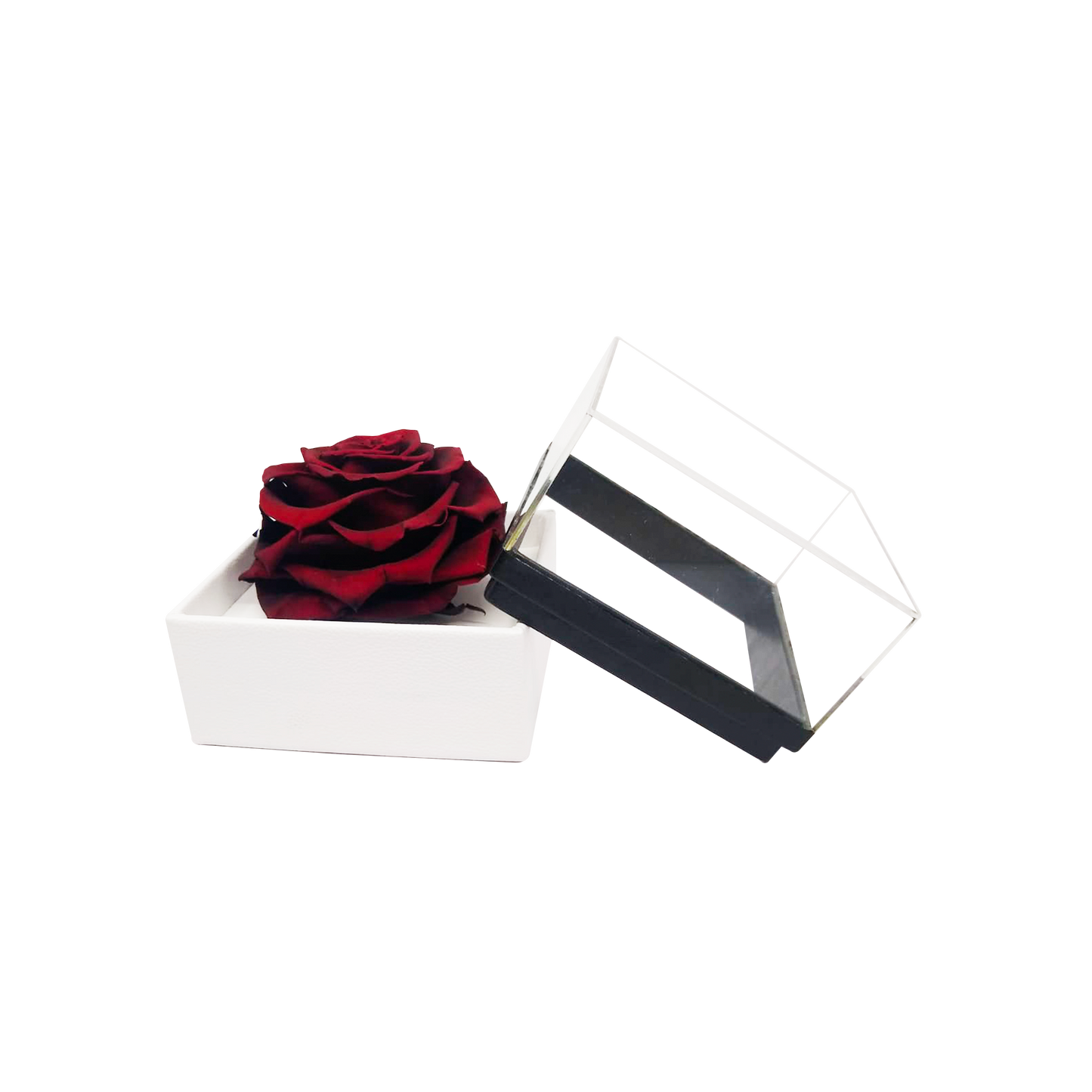 Luxury 1 Preserved Rose Arrangement - Square Acrylic And Pu Box - Stock - BMade