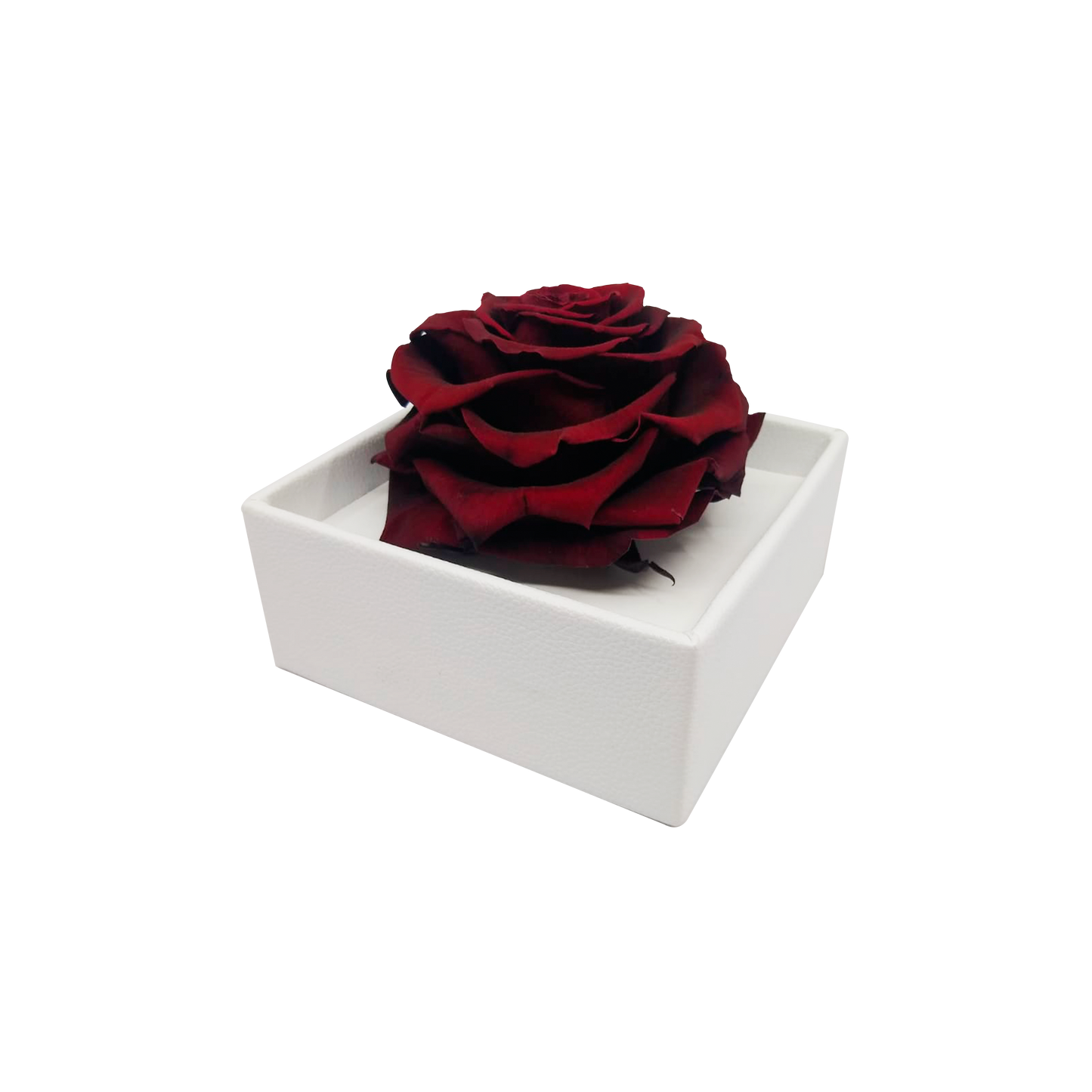 Luxury 1 Preserved Rose Arrangement - Square Acrylic And Pu Box - Stock - BMade