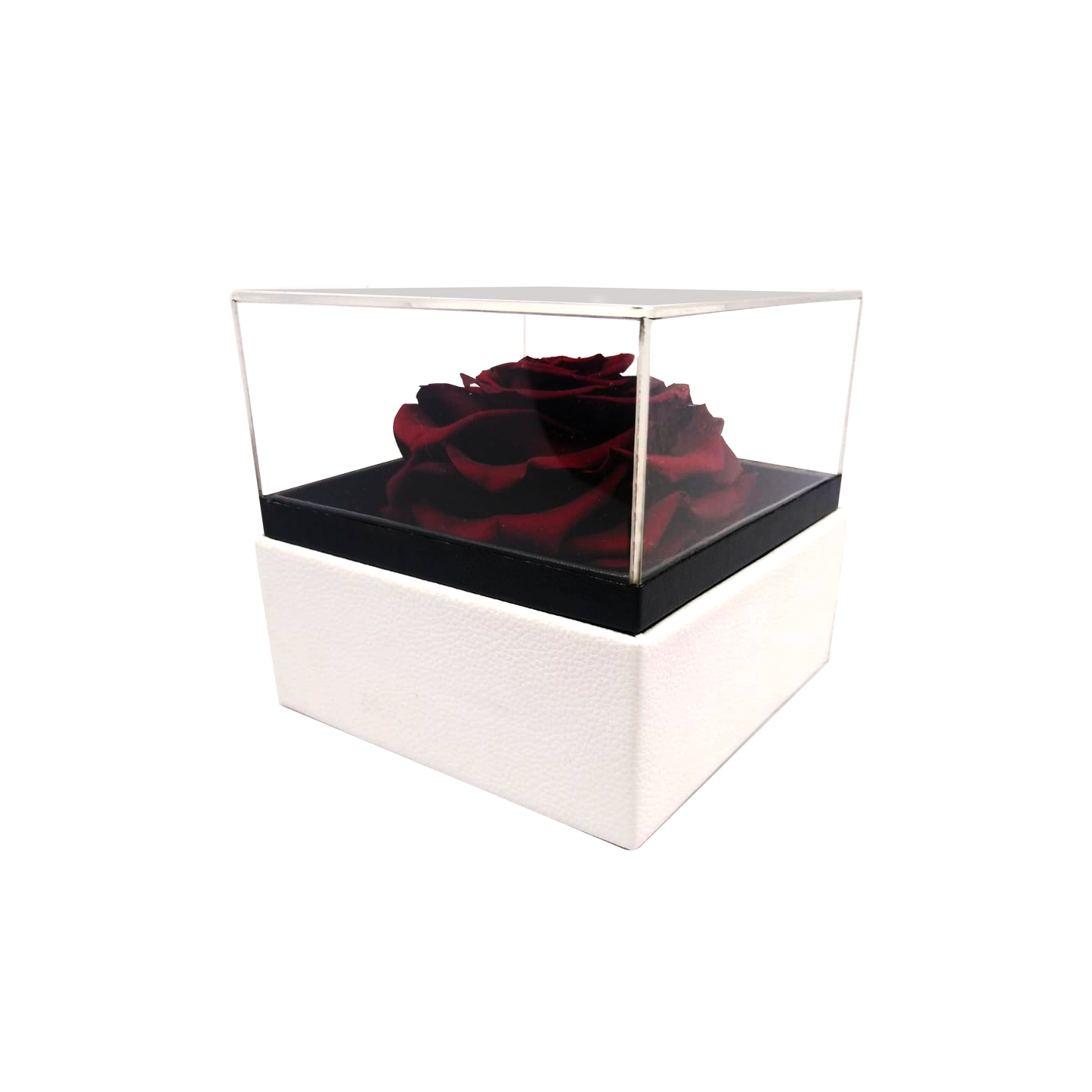 Luxury 1 Preserved Rose Arrangement - Square Acrylic And Pu Box - Stock - BMade