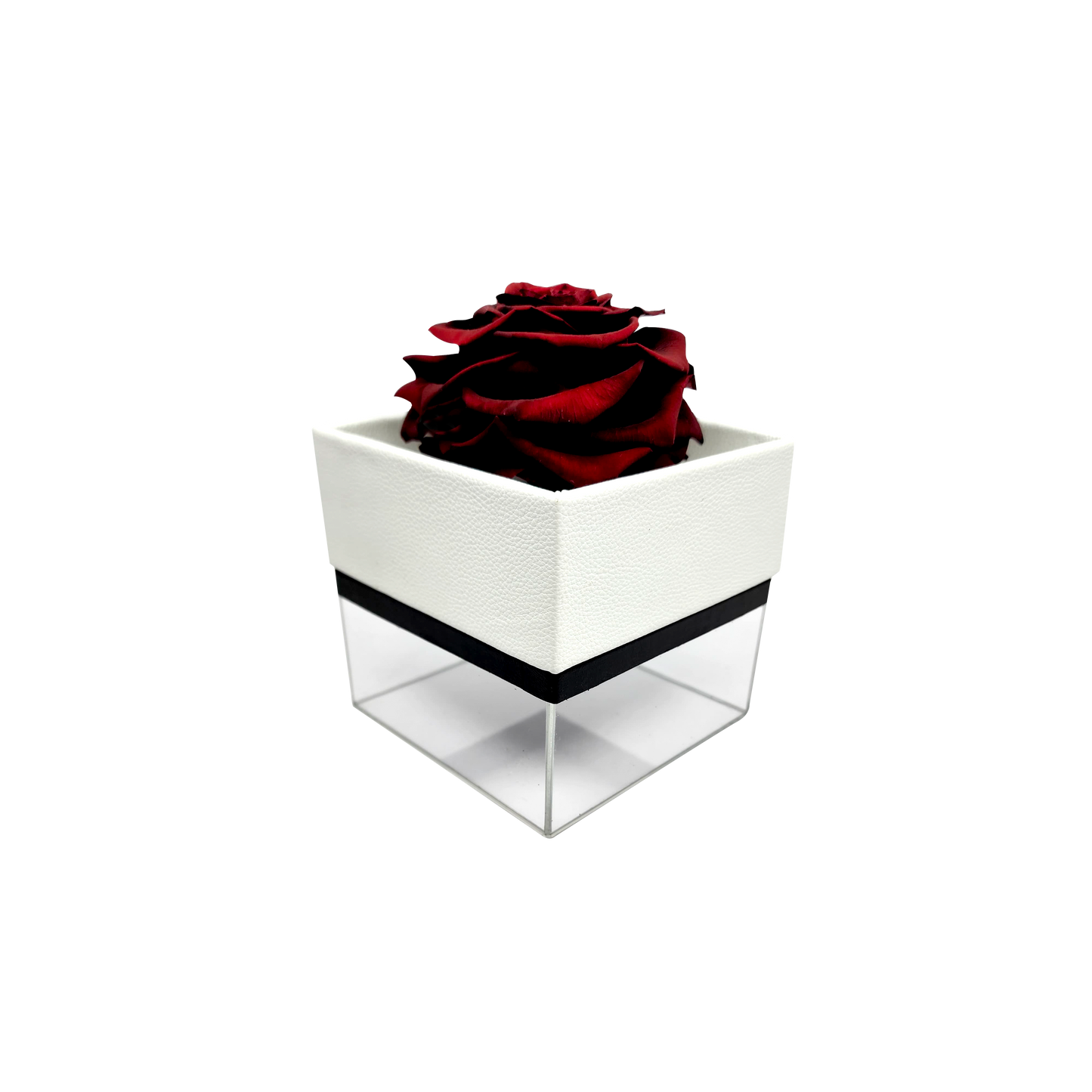 Luxury 1 Preserved Rose Arrangement - Square Acrylic And Pu Box - Stock - BMade