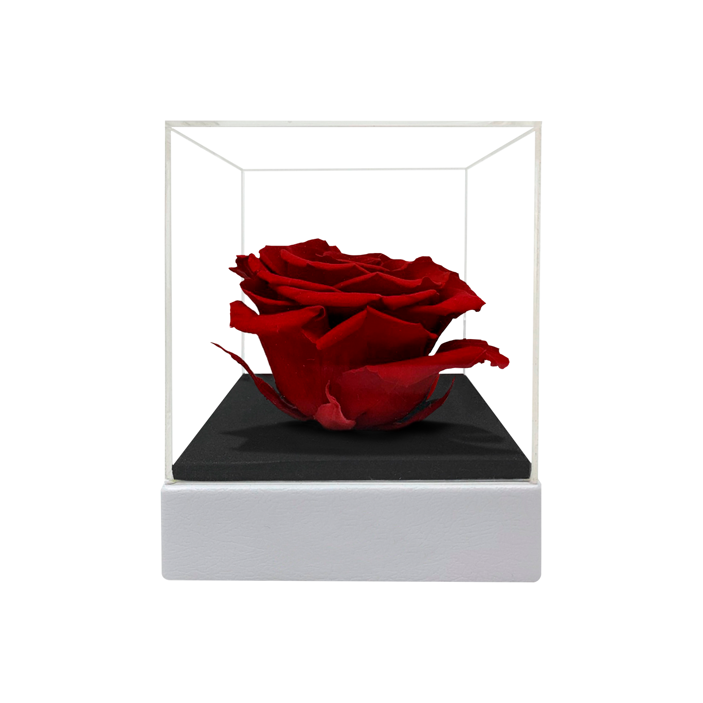 LUXURY 1 PRESERVED ROSE ARRANGEMENT - ACRYLIC TOP AND PU LEATHER BOX - BMade