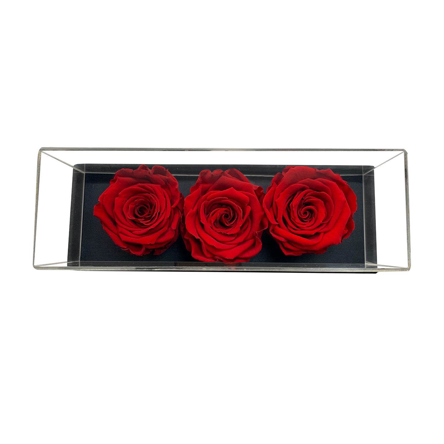 LUXURY 3 PRESERVED ROSES ARRANGEMENT - ACRYLIC TOP AND PU LEATHER BOX - BMade