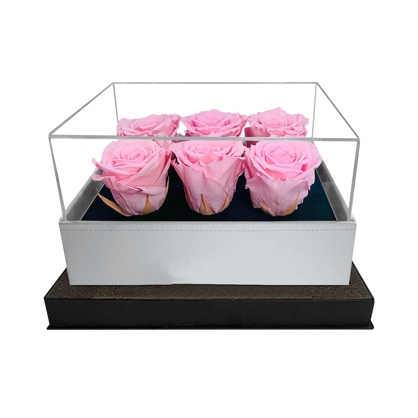 LUXURY 6 PRESERVED ROSES ARRANGEMENT - ACRYLIC TOP AND PU LEATHER BOX - BMade