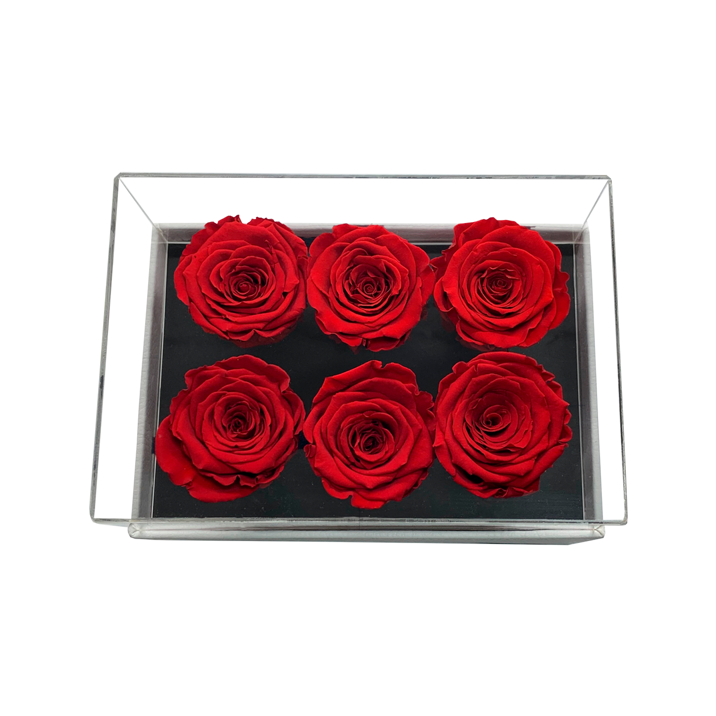 LUXURY 6 PRESERVED ROSES ARRANGEMENT - ACRYLIC TOP AND PU LEATHER BOX - BMade