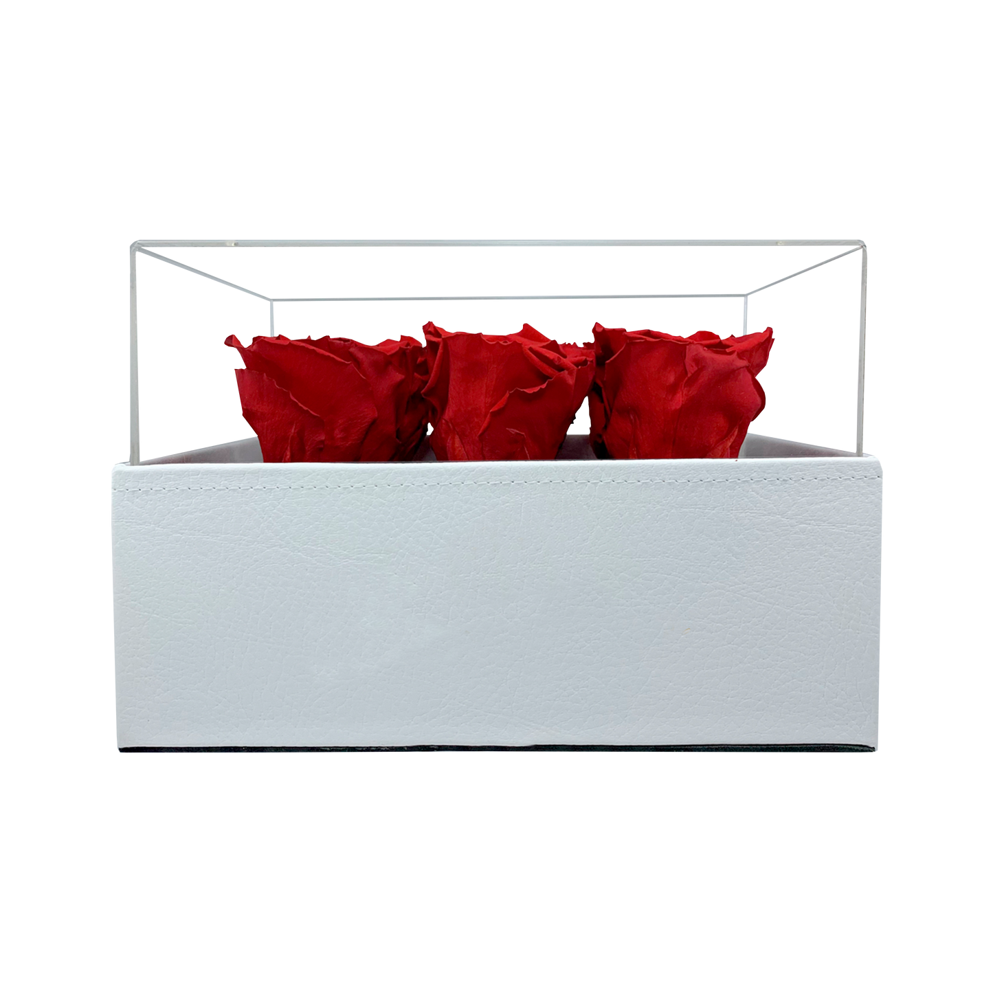 LUXURY 6 PRESERVED ROSES ARRANGEMENT - ACRYLIC TOP AND PU LEATHER BOX - BMade