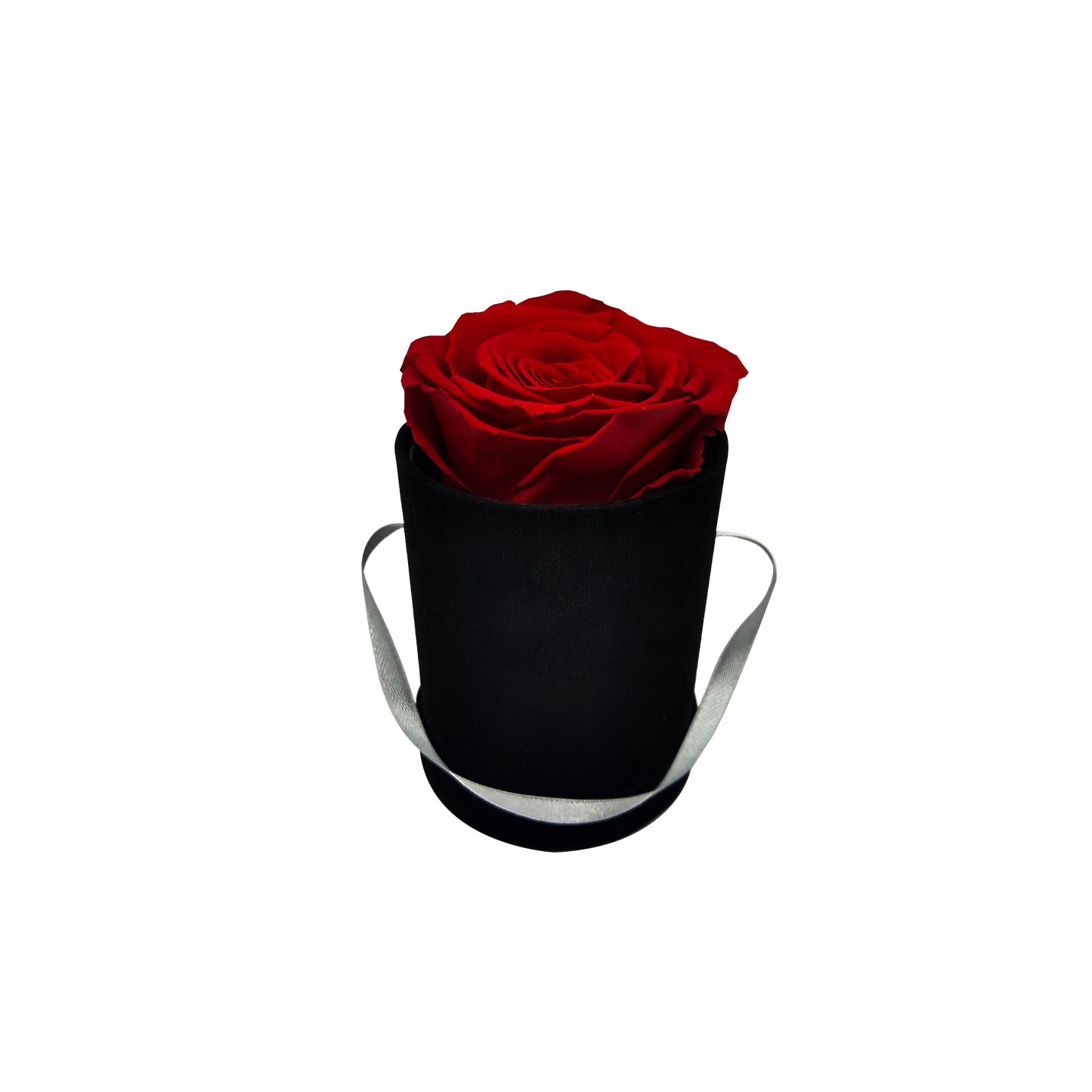 LUXURY ROSEAMOR 1 PRESERVED ROSES ARRANGEMENT - ELEVATOR SYSTEM ROUND BOX - BMade