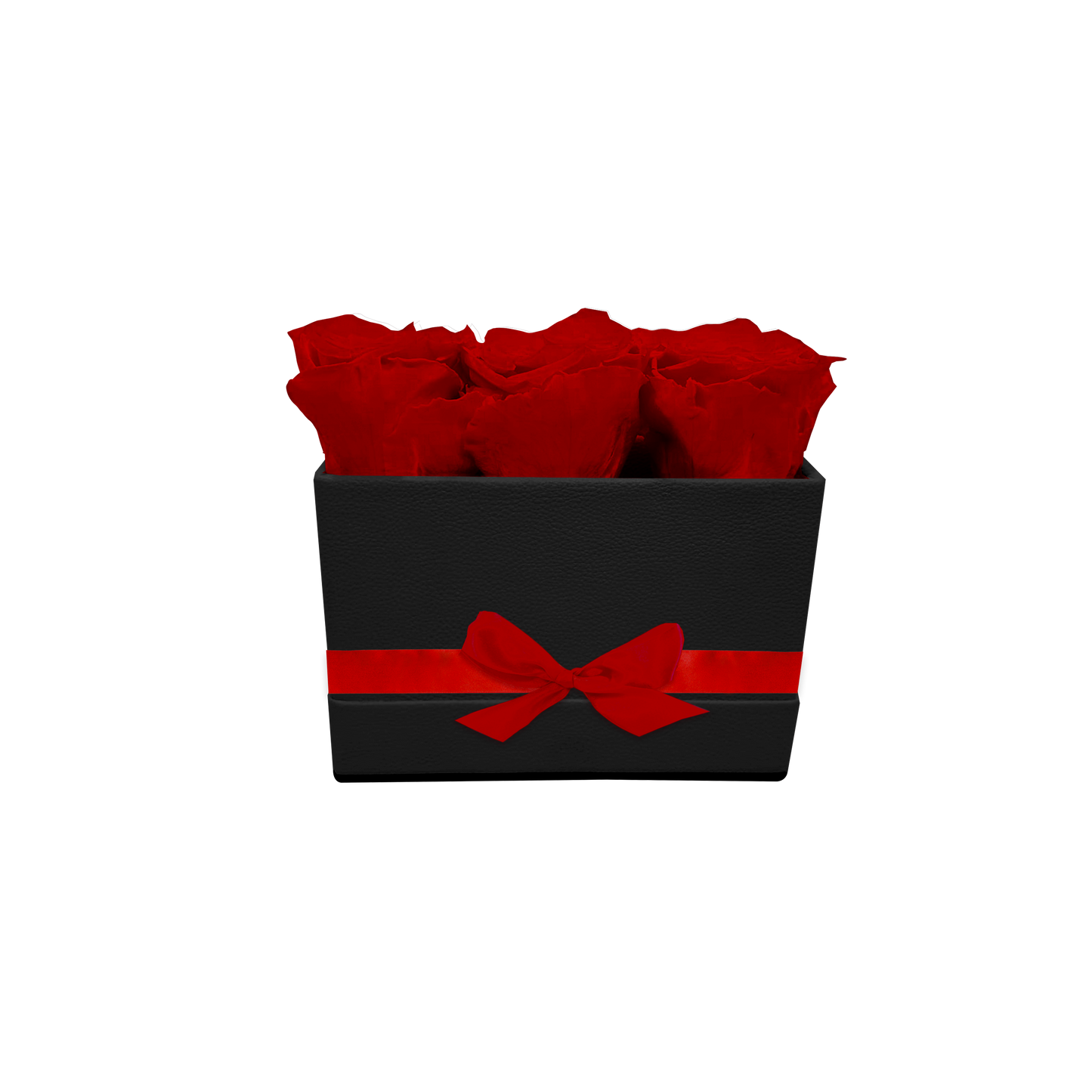 ARREGLO DE LUJO DE 6 ROSAS PRESERVADAS ROSEAMOR - CAJA RECTANGULAR