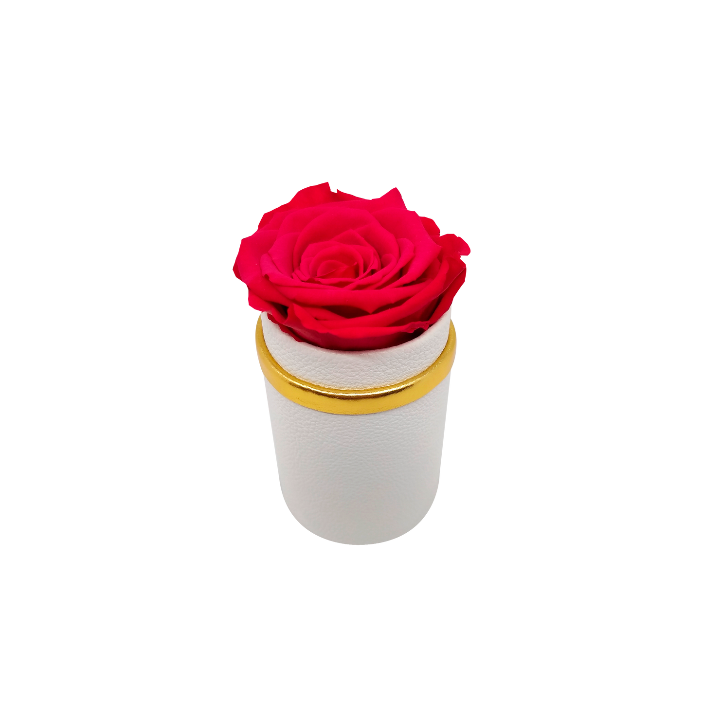 LUXURY 1 ROSEAMOR PRESERVED ROSE ARRANGEMENT - MEDIUM ROUND BOX - BMade