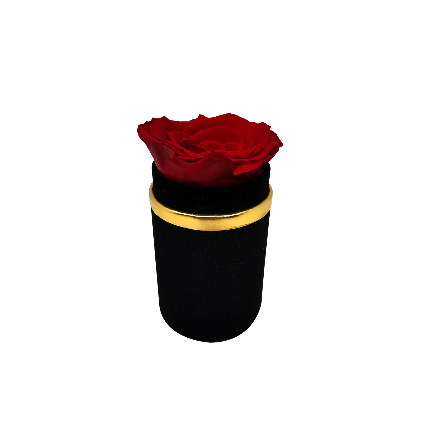 LUXURY 1 ROSEAMOR PRESERVED ROSE ARRANGEMENT - MEDIUM ROUND BOX - BMade