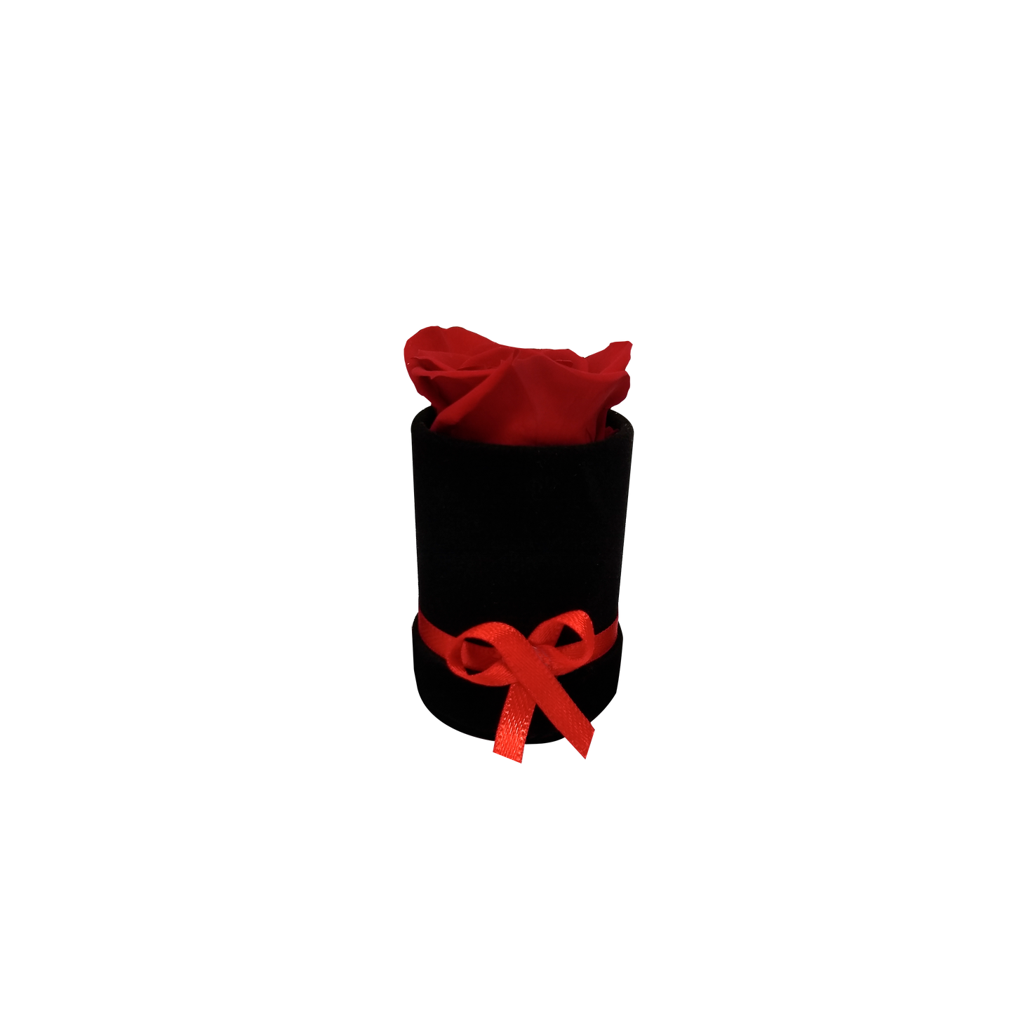 LUXURY ROSEAMOR 1 PRESERVED ROSES ARRANGEMENT - MINI ROUND BOX - BMade