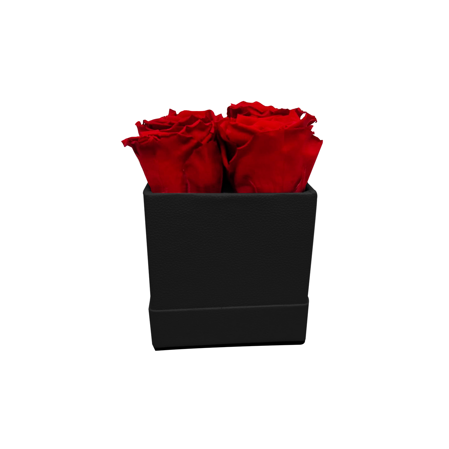LUXURY ROSEAMOR 4 PRESERVED ROSES ARRANGEMENT - SQUARE PU LEATHER BOX - BMade