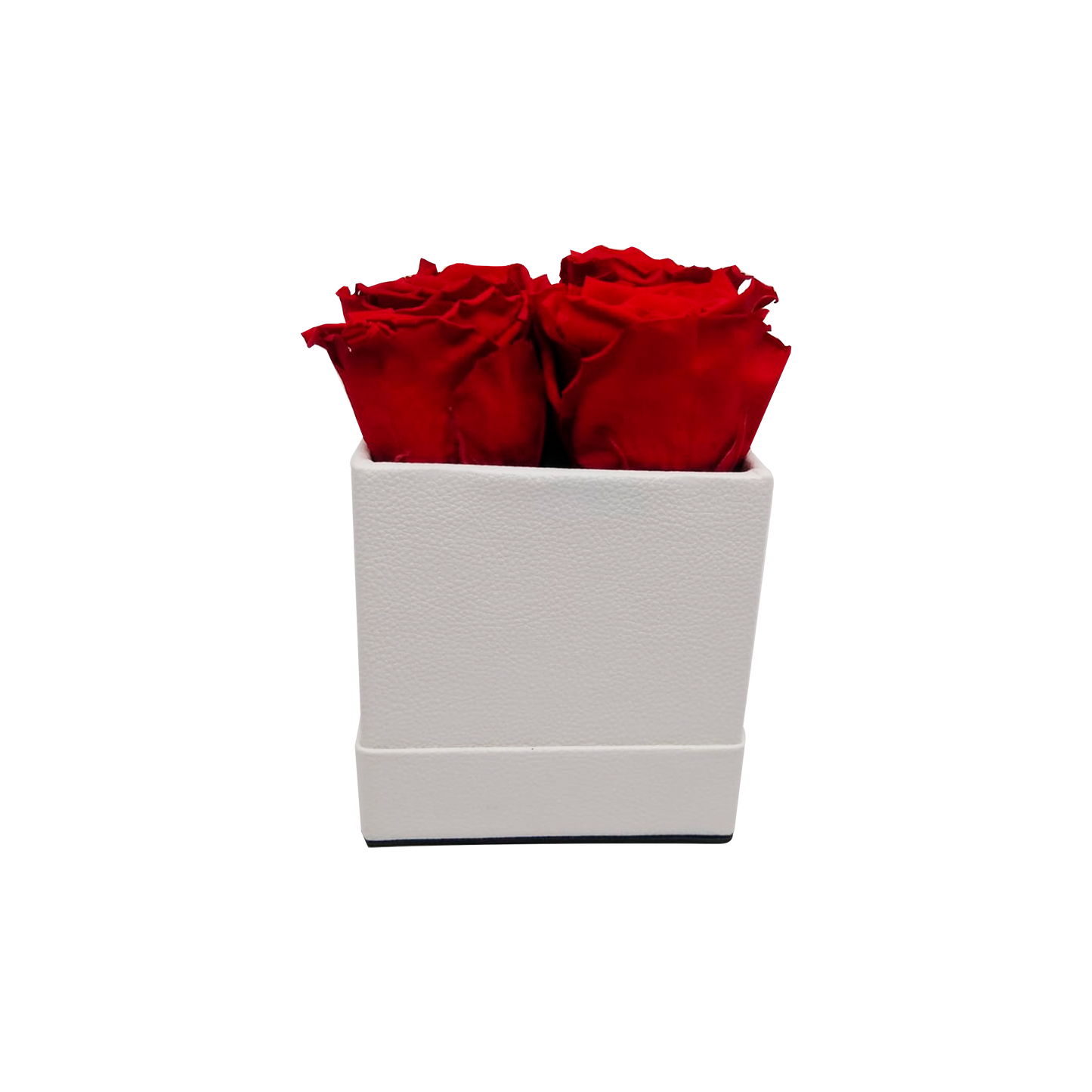 LUXURY ROSEAMOR 4 PRESERVED ROSES ARRANGEMENT - SQUARE PU LEATHER BOX - BMade