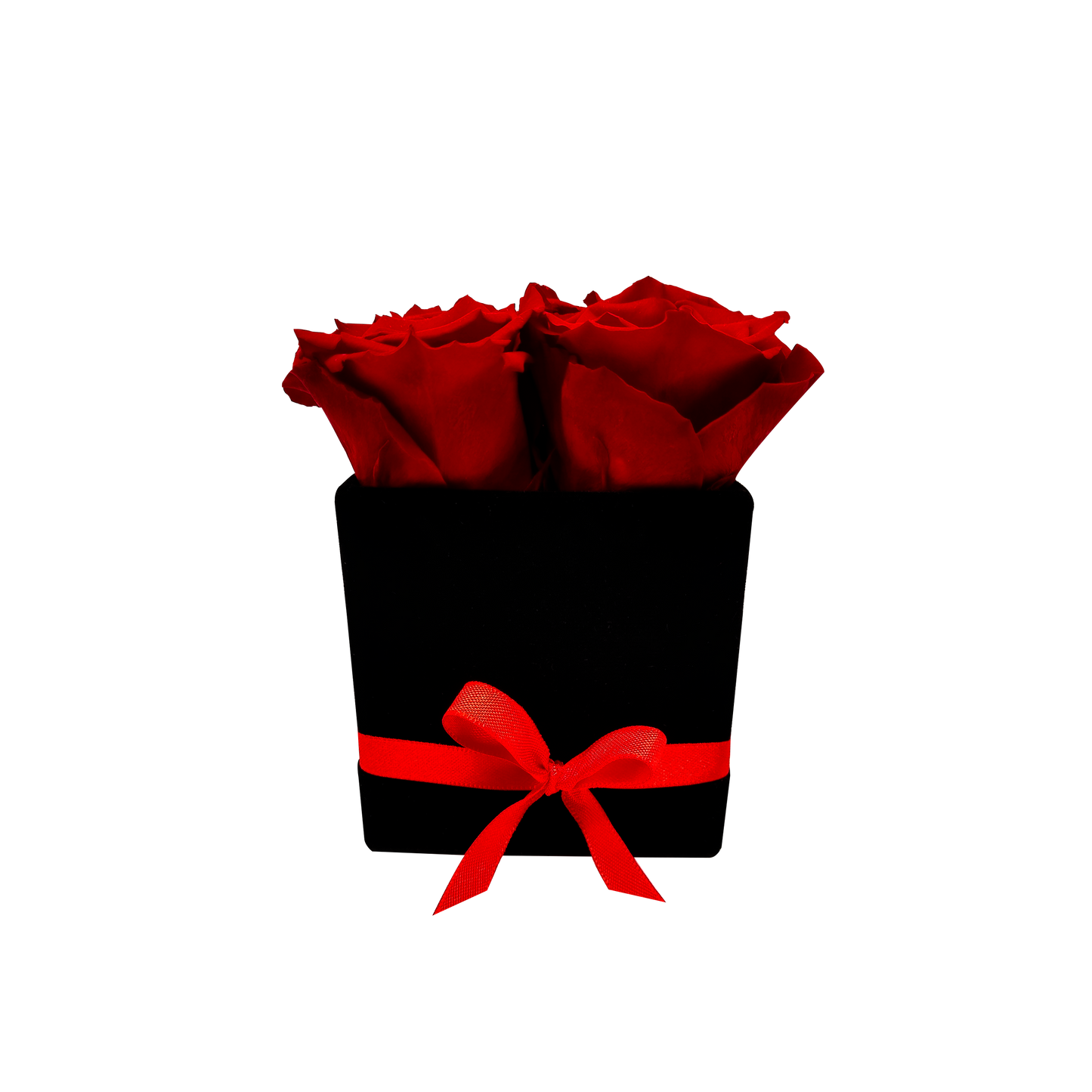 LUXURY ROSEAMOR 4 PRESERVED ROSES ARRANGEMENT - SQUARE PU LEATHER BOX - BMade