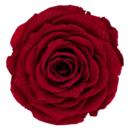 LL+ Preserved Roses Diamond - Pack of 6 - BMade