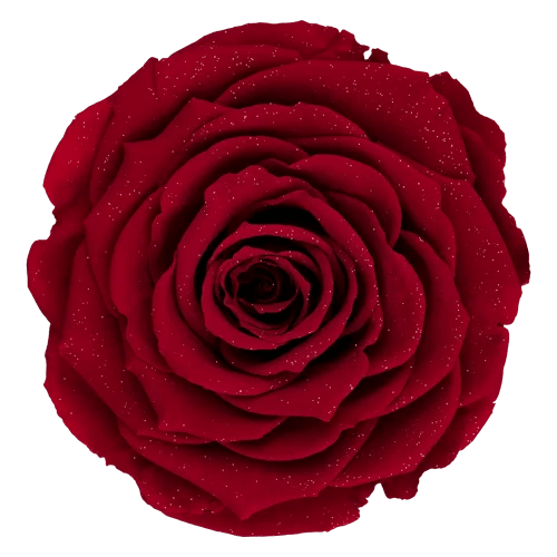 BELLA Preserved Roses Diamond - Pack 4