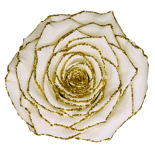 BELLA Preserved Roses Glitter - Pack 4