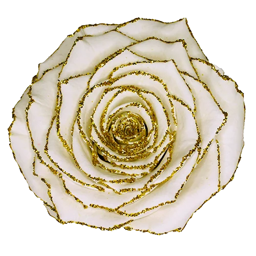 XL Preserved Roses Glitter - Pack of 6