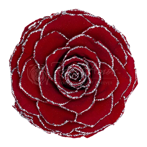 LL+ Preserved Roses Glitter - Pack of 6