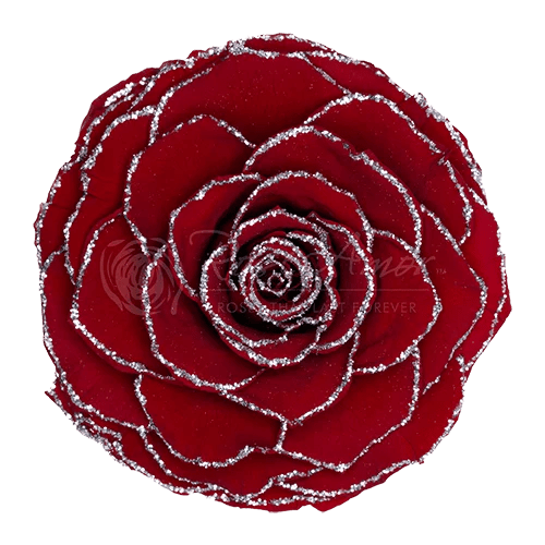 Rosas preservadas con purpurina BELLA - Paquete de 4