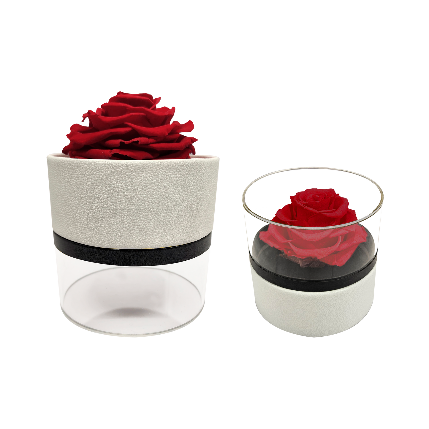 LUXURY 1 PRESERVED ROSE ARRANGEMENT - ROUND ACRYLIC BOX-Stock