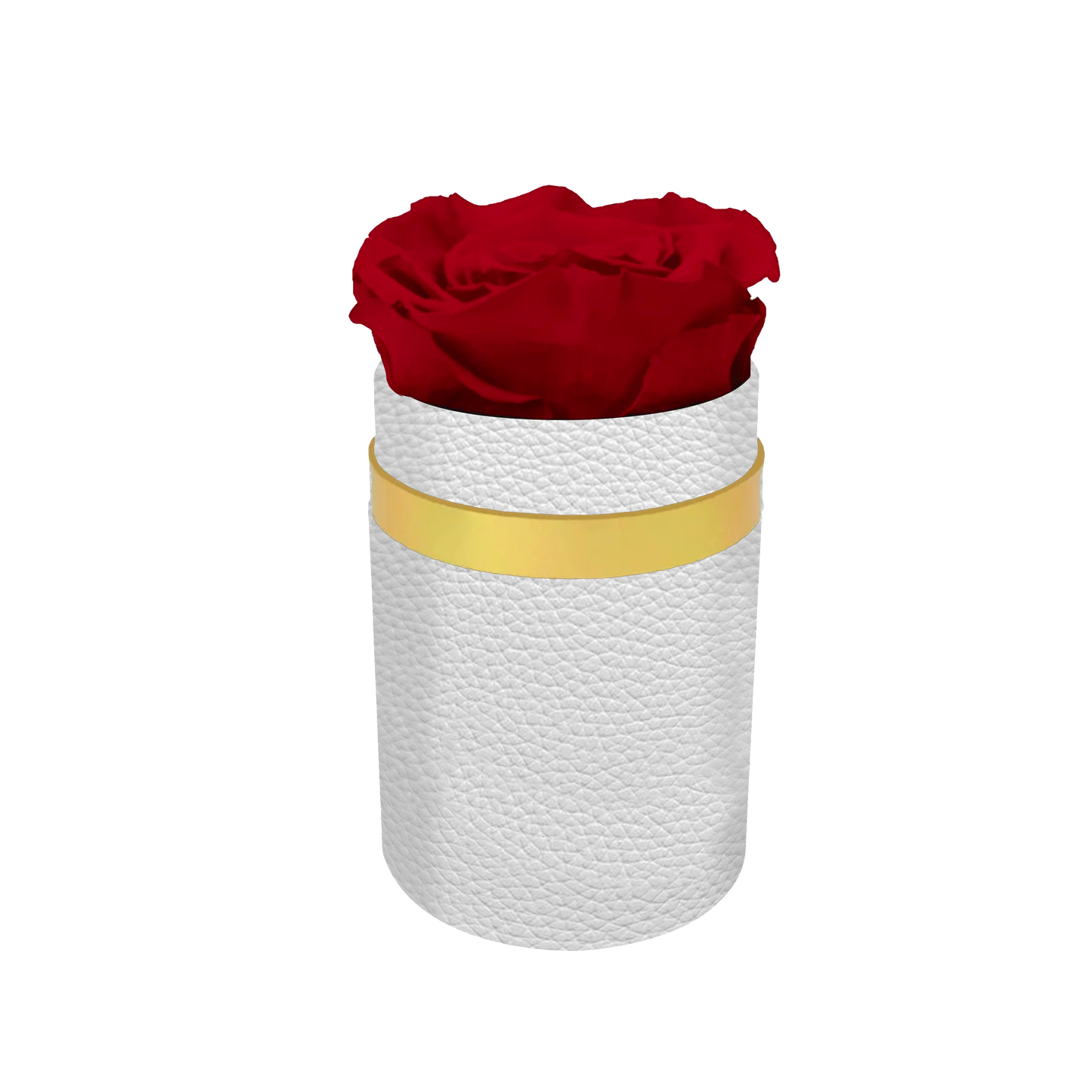 Luxury 1 XL Preserved Rose in Round Box | Elegant Floral Arrangement for Special Occasions