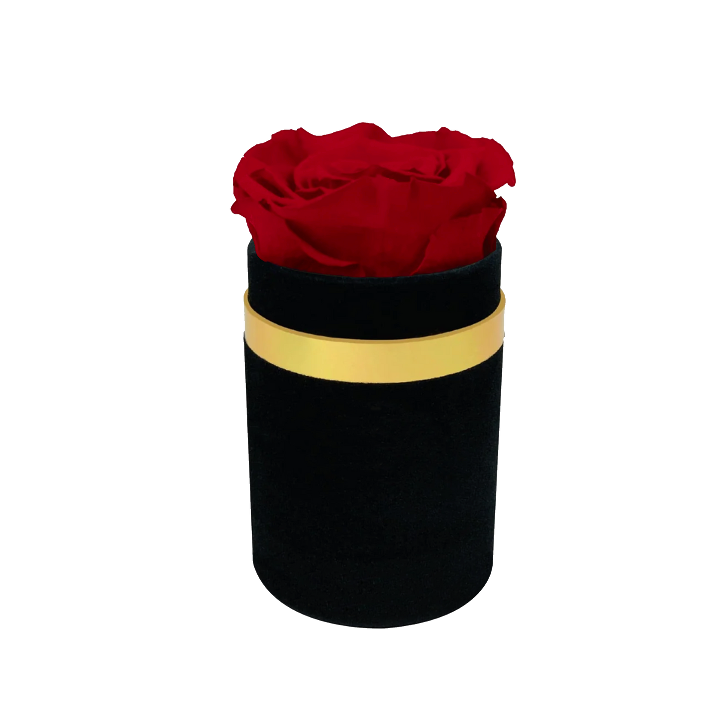 LUXURY 1 ROSEAMOR PRESERVED ROSE ARRANGEMENT - MEDIUM ROUND BOX-Stock