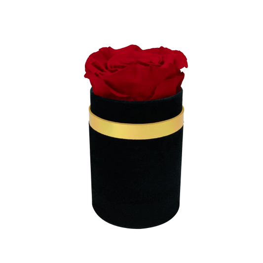 LUXURY 1 ROSEAMOR PRESERVED ROSE ARRANGEMENT - MEDIUM ROUND BOX-Stock